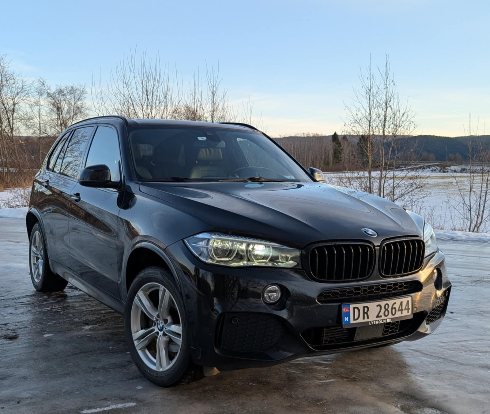 BMW X5 xDrive40e iPerformance eDrive 3