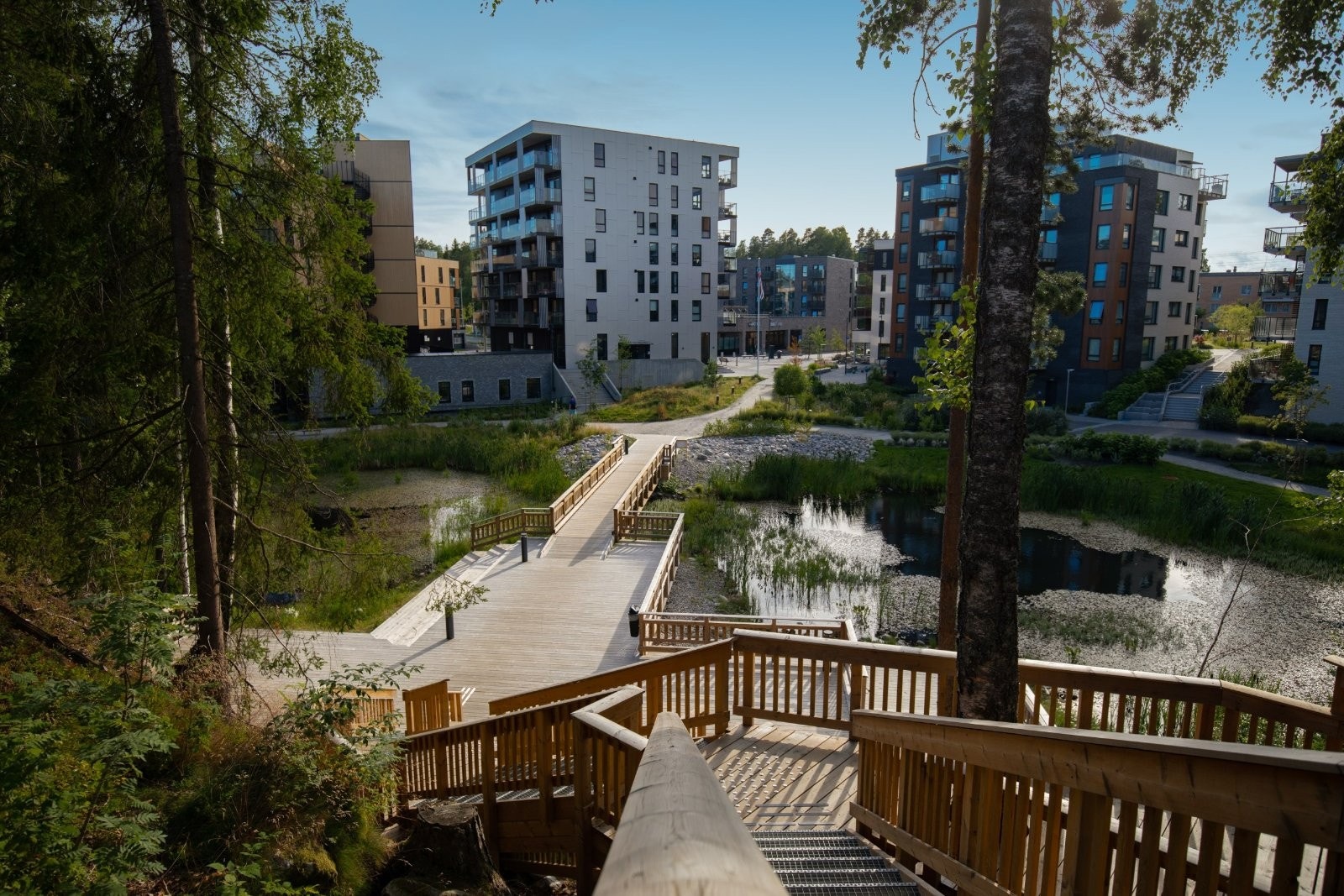 Salamanderdammen er et fint naturinnslag på Myrvoll Stasjon Galleribilde