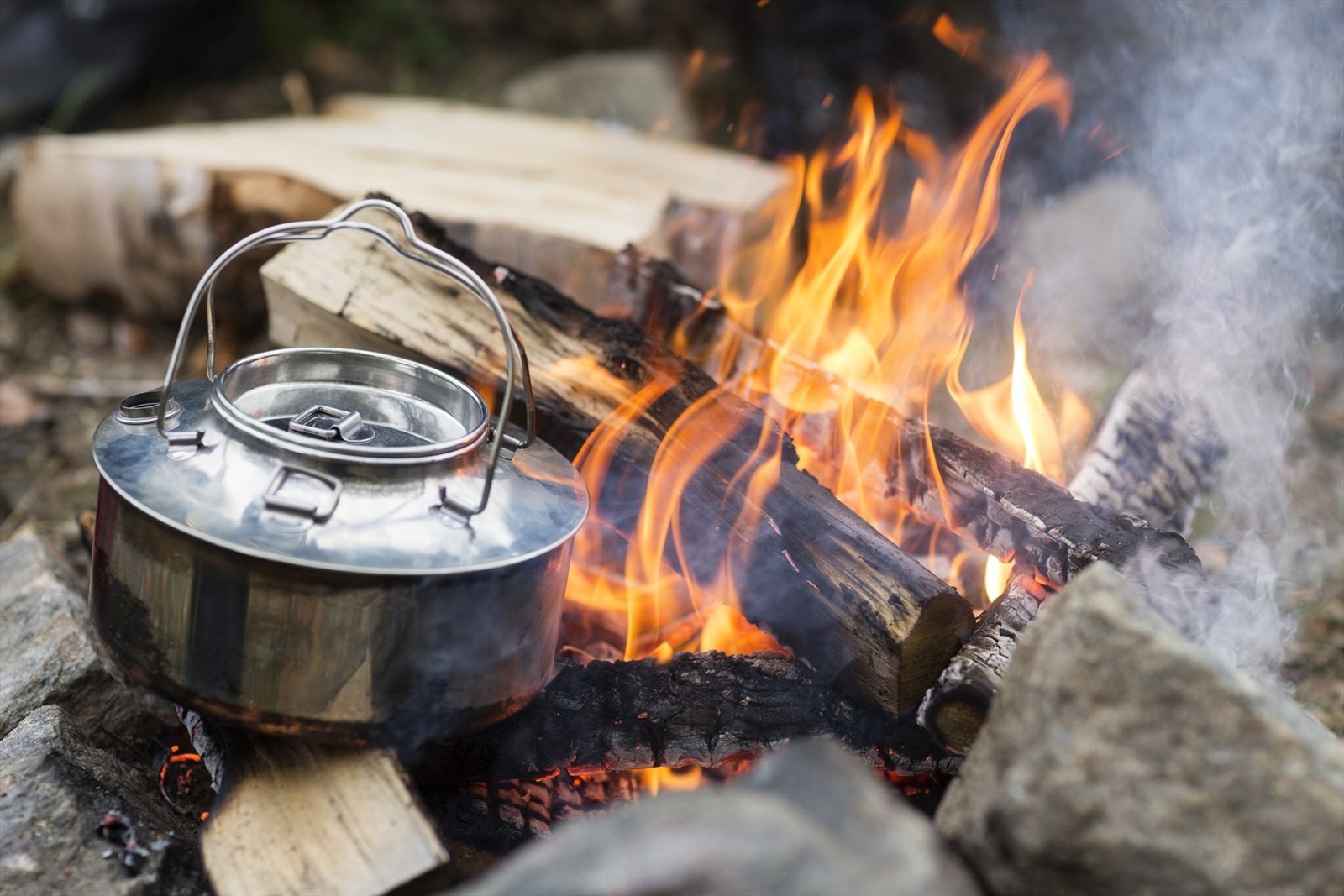 Flotte turmuligheter i området! Galleribilde