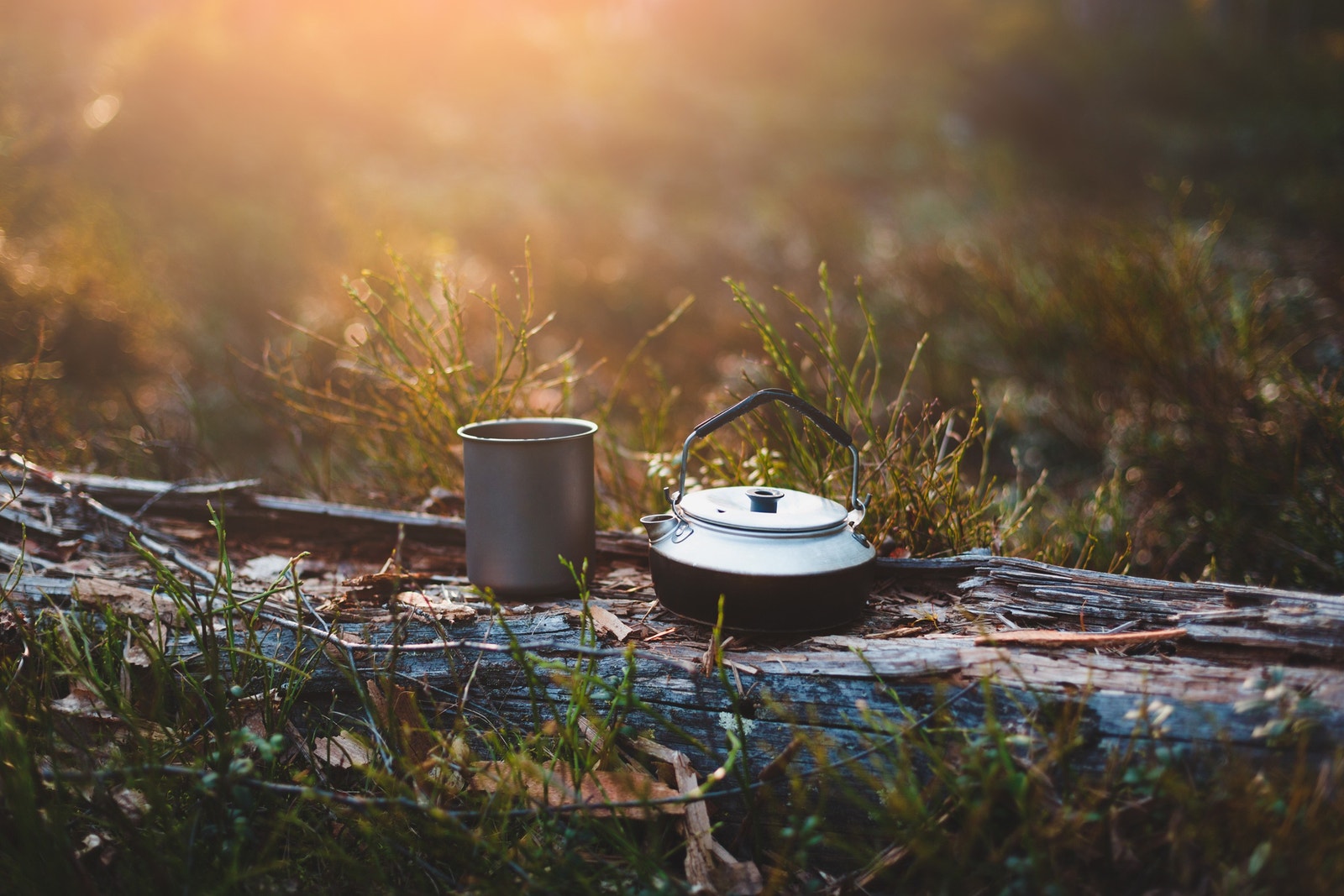 Mange muligheter for å nyte naturen rundt Langhus Galleribilde