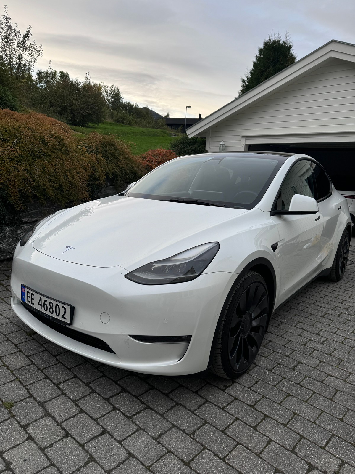 Tesla Model Y Model Y Performance