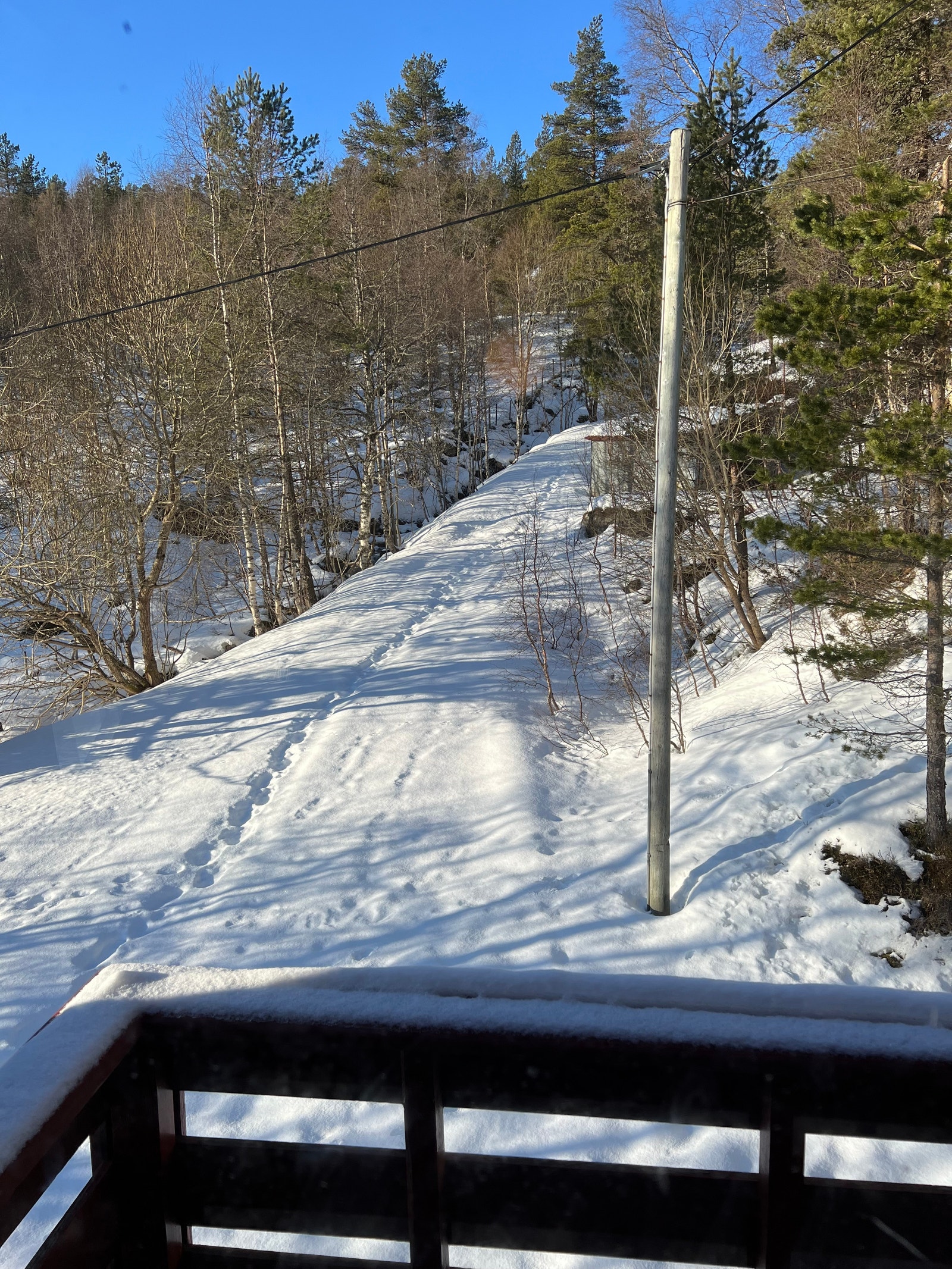 Egen akebakke rett ved hytten Galleribilde