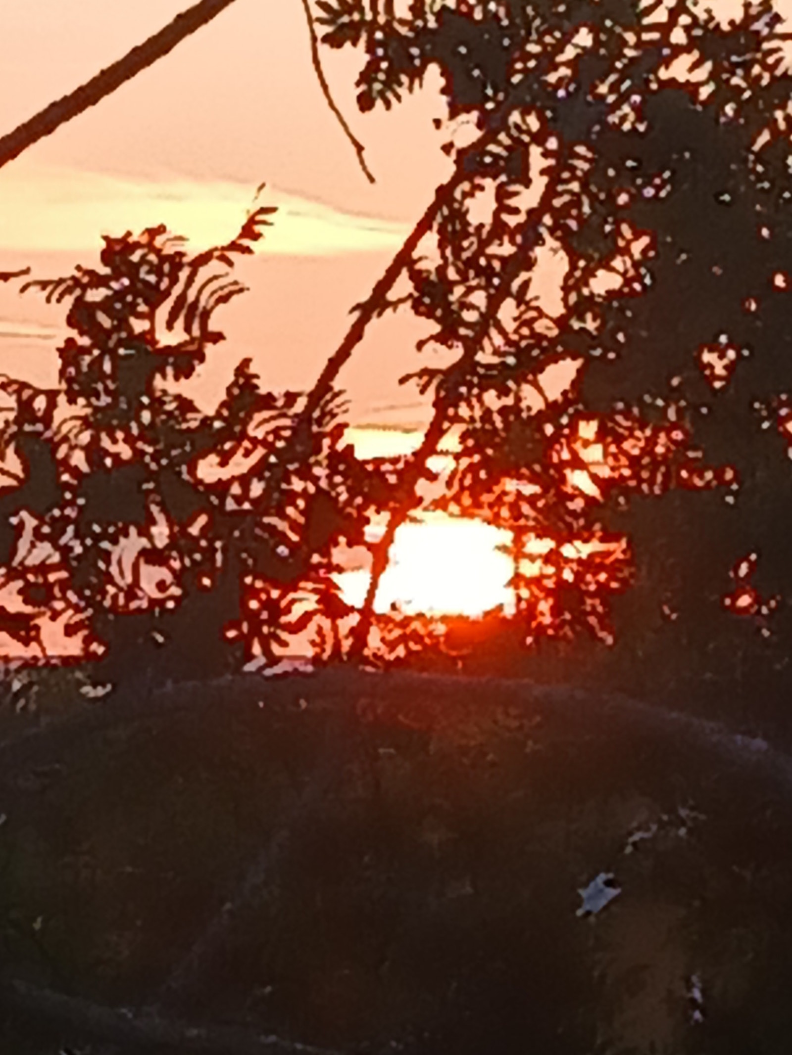 Vakker soloppgang Galleribilde