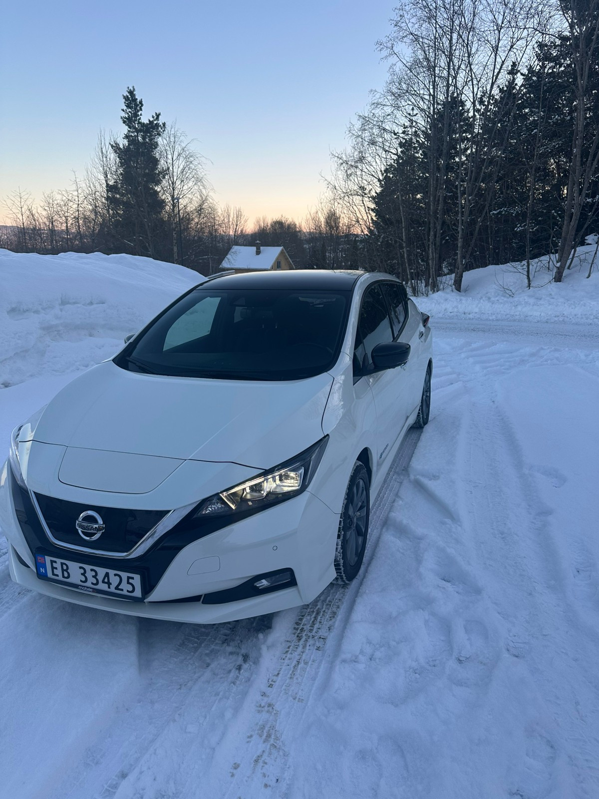 Nissan Leaf Tekna 3