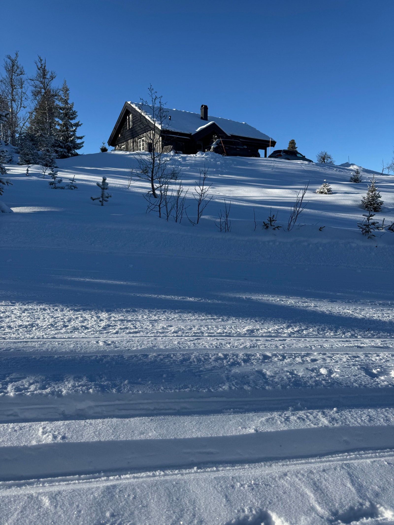 Langrennsløypene til snaufjellet passerer rett utenfor hytta. Galleribilde