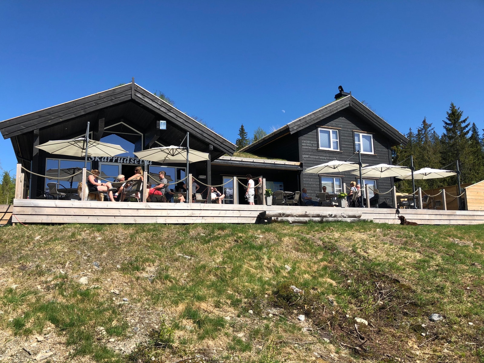 Servering på Skarrudsetra i helger og ferier. Kun 200-500 m fra tomtene. Skarrudsetra innehar alle rettigheter. Galleribilde