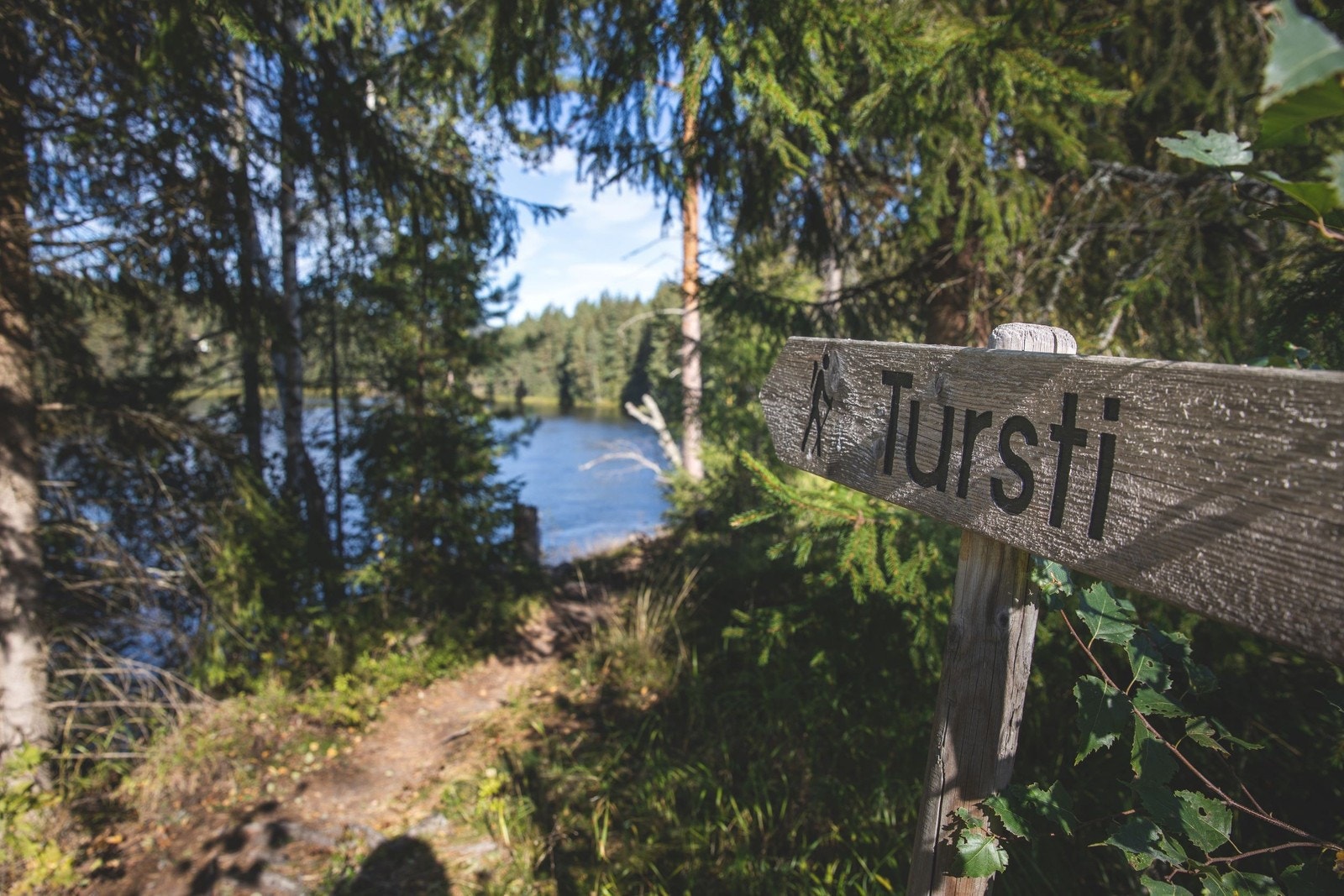 Fine turstier Galleribilde