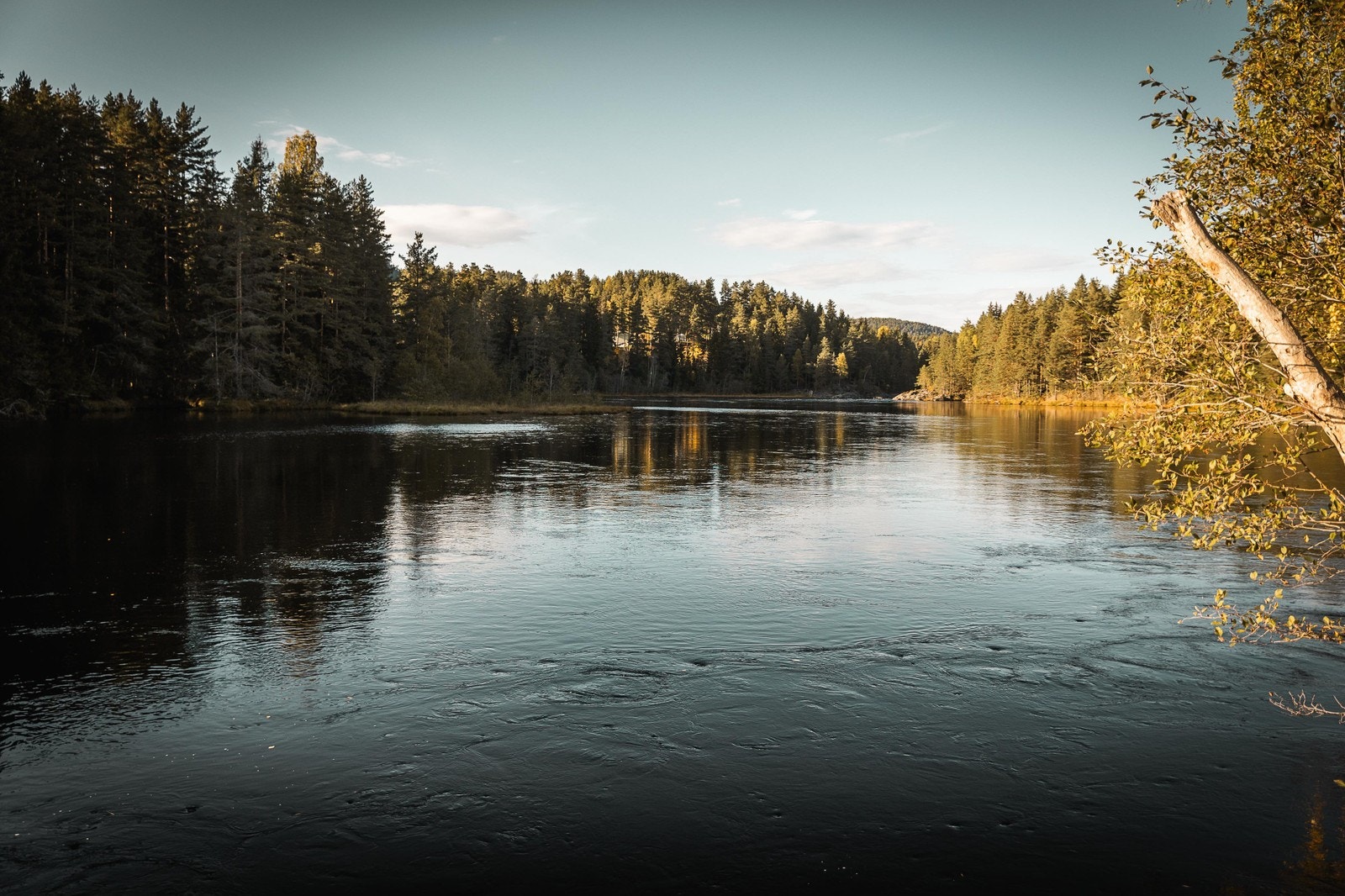 Vakre Lågen med flotte turmuligheter Galleribilde