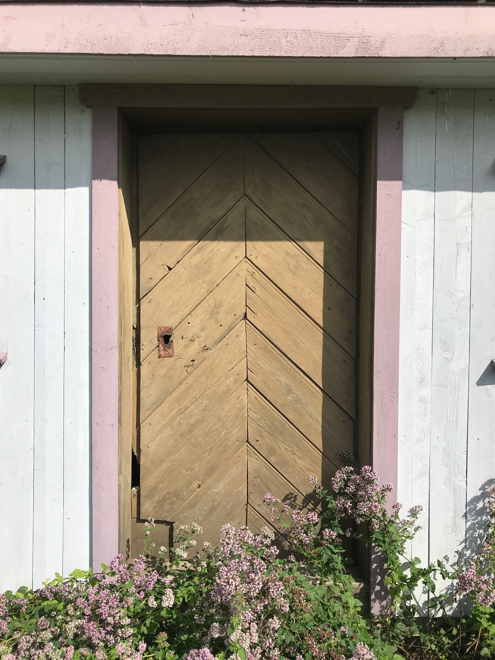 Hagehuset Galleribilde