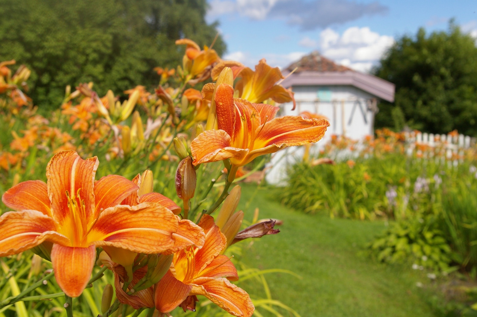 Hagehuset Galleribilde