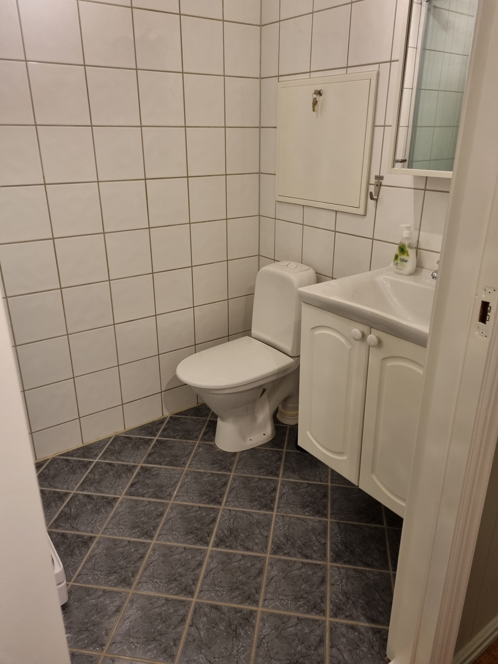 Wc Galleribilde