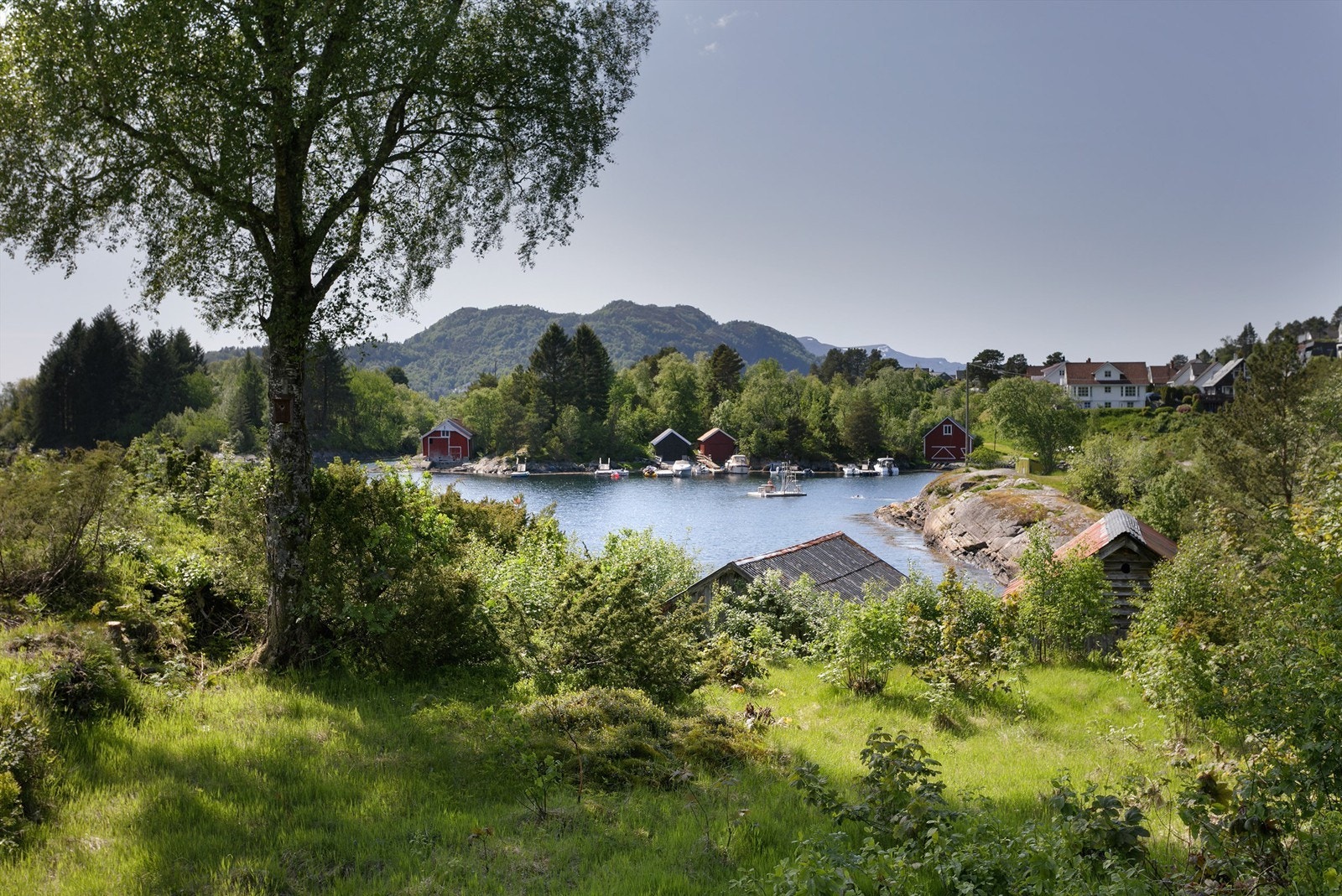 Like nedenfor boligfeltet ligger idylliske Eikenosvågen med stupetårn og badebrygge Galleribilde