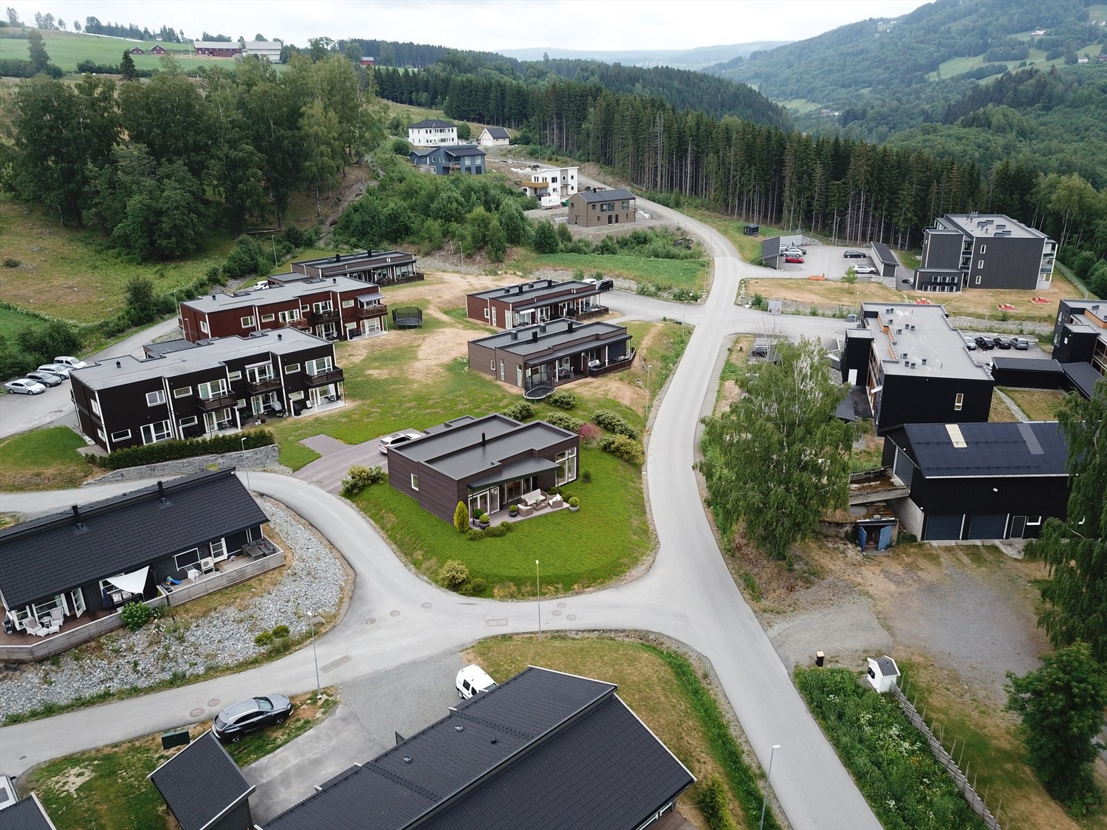 Slåttsvelia Galleribilde