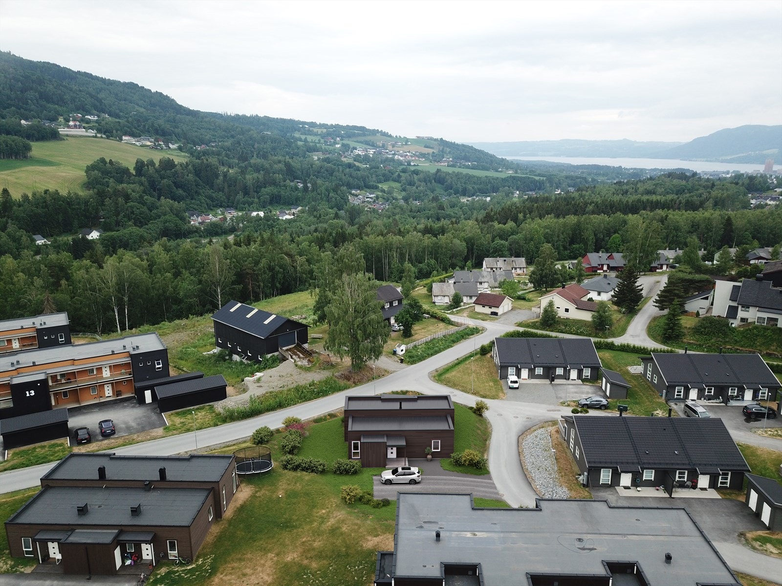 Slåttsvelia Galleribilde