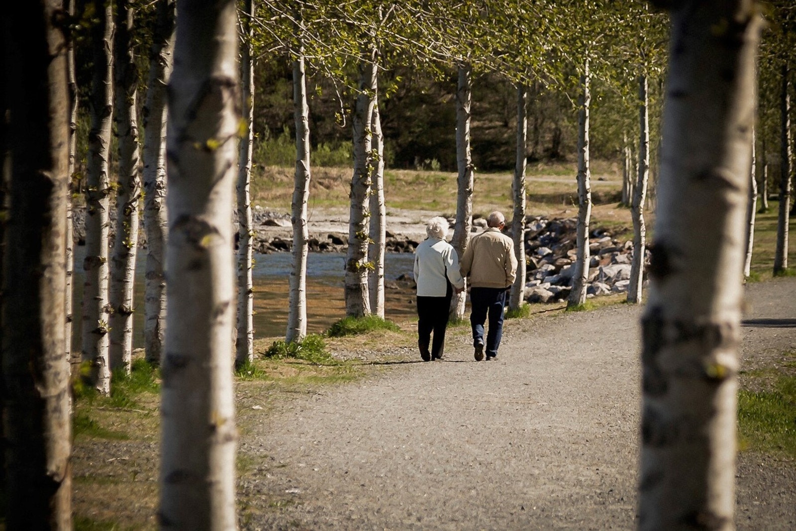 Flotte turområder i nærheten. Galleribilde