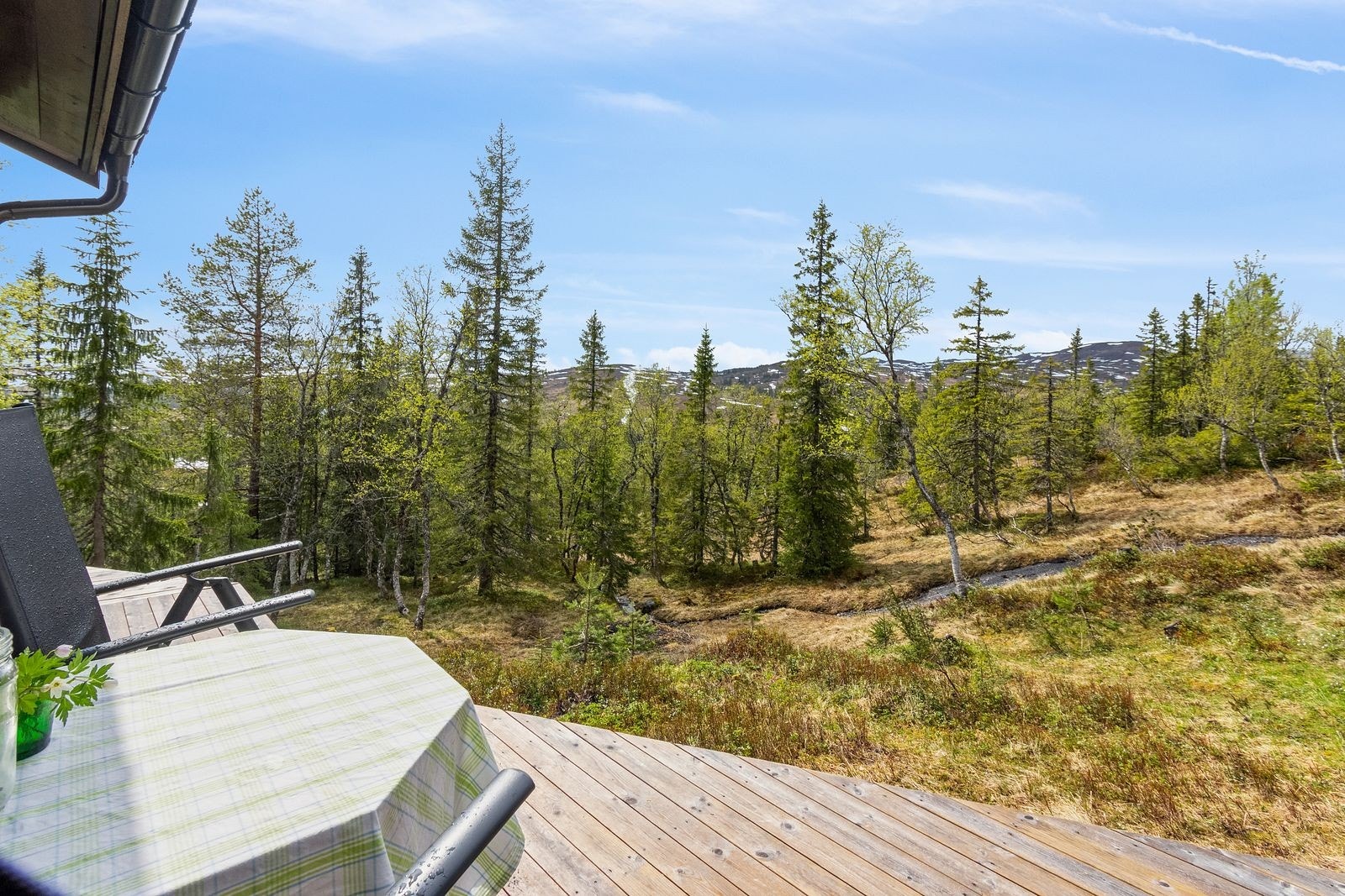 Sommer og utsikt Galleribilde