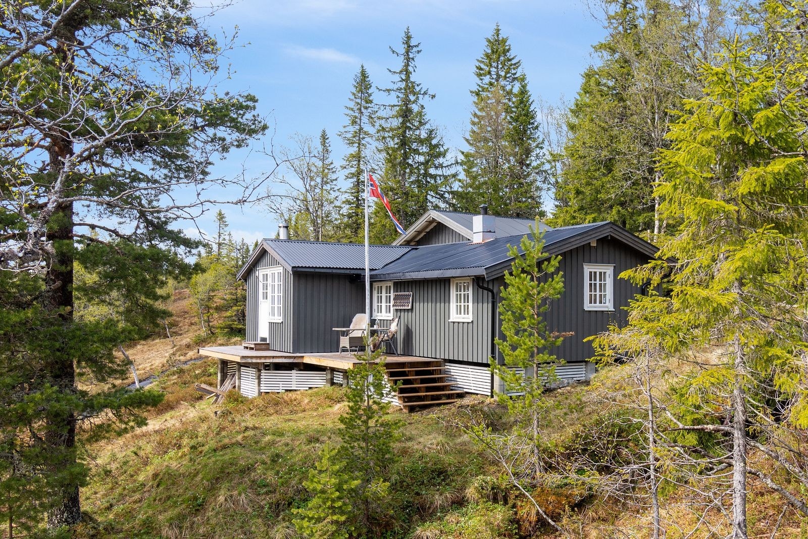 Mot vest Galleribilde