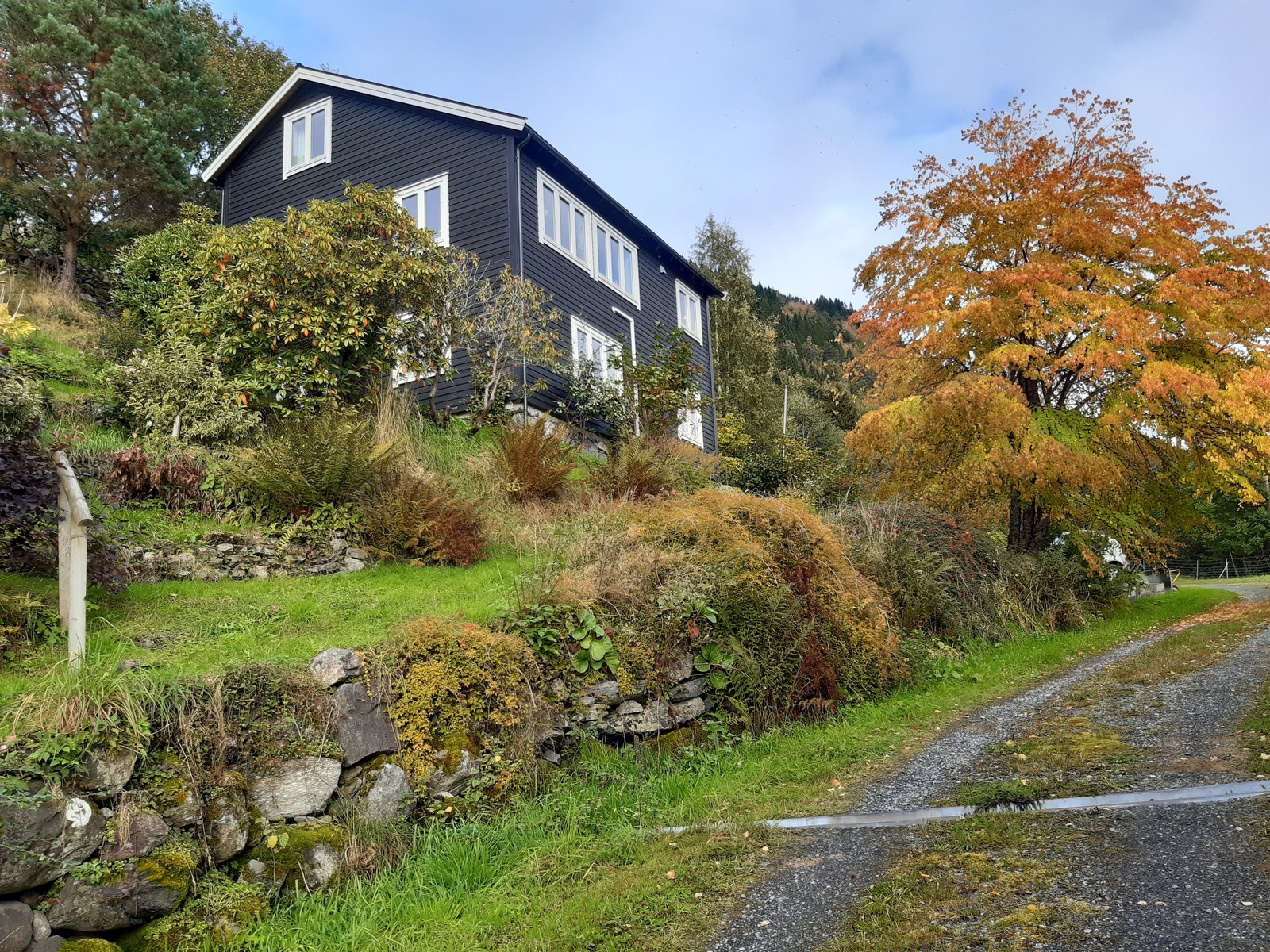 Huset tronar i toppen av bakken, med det store hjertetreet framom Galleribilde
