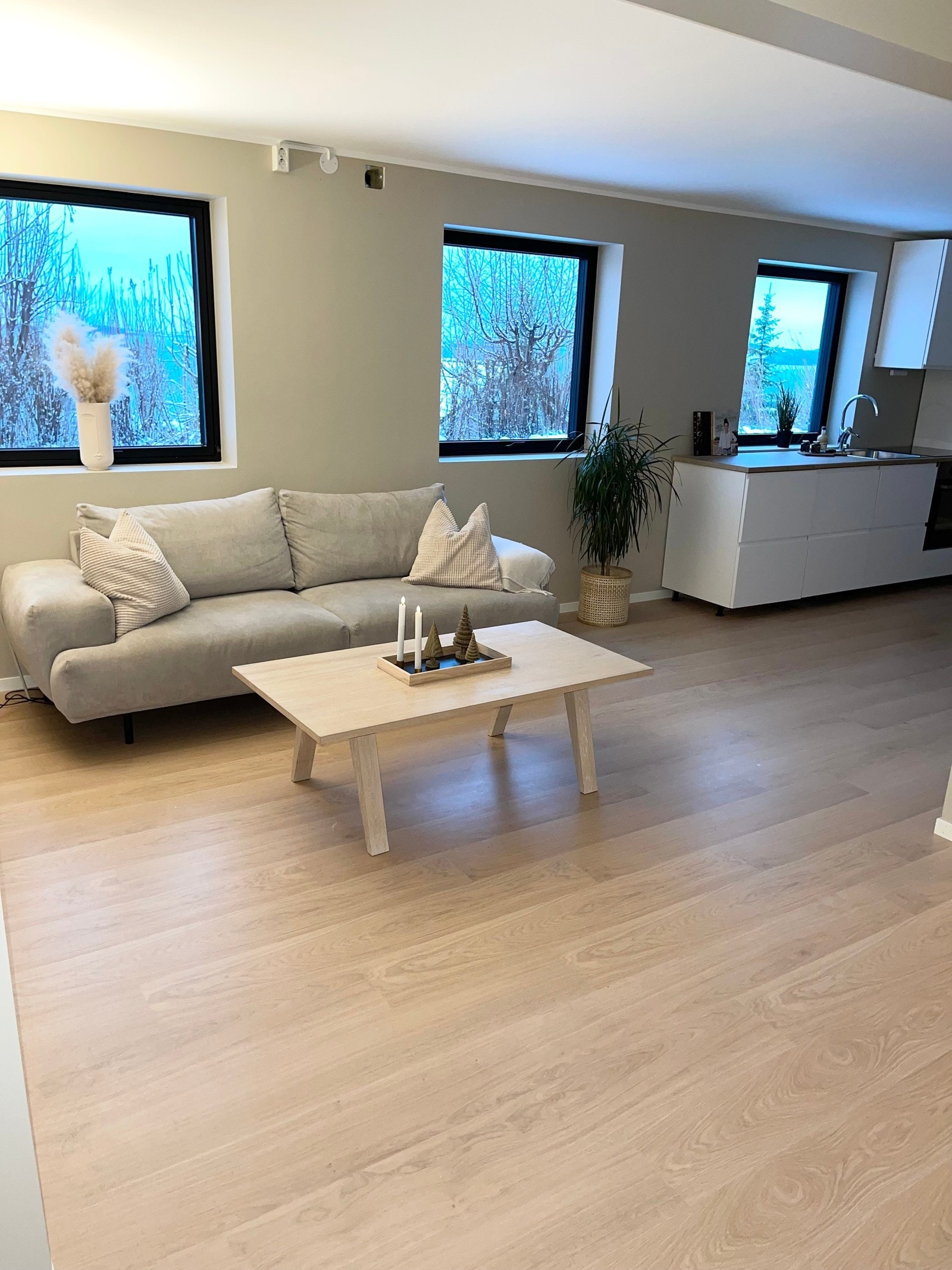 Romslig stuedel med plass til sofagruppe, sofabord og evt. godstol. Tv-uttak/stikkontakt for tv ser man på først bilde Galleribilde
