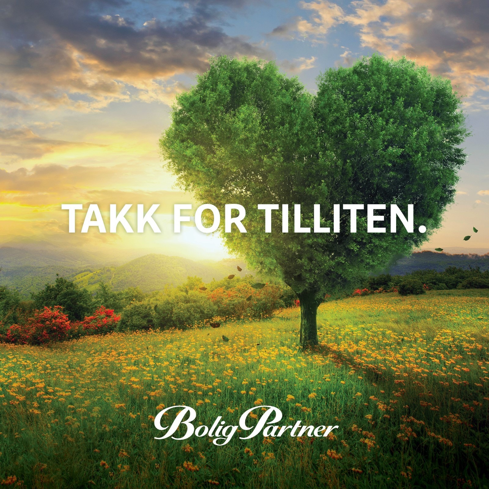 Tusen takk for tilliten! Galleribilde