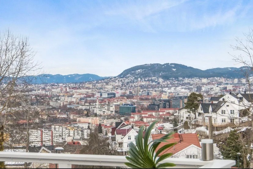 Fin utsikt fra inngangsparti Galleribilde