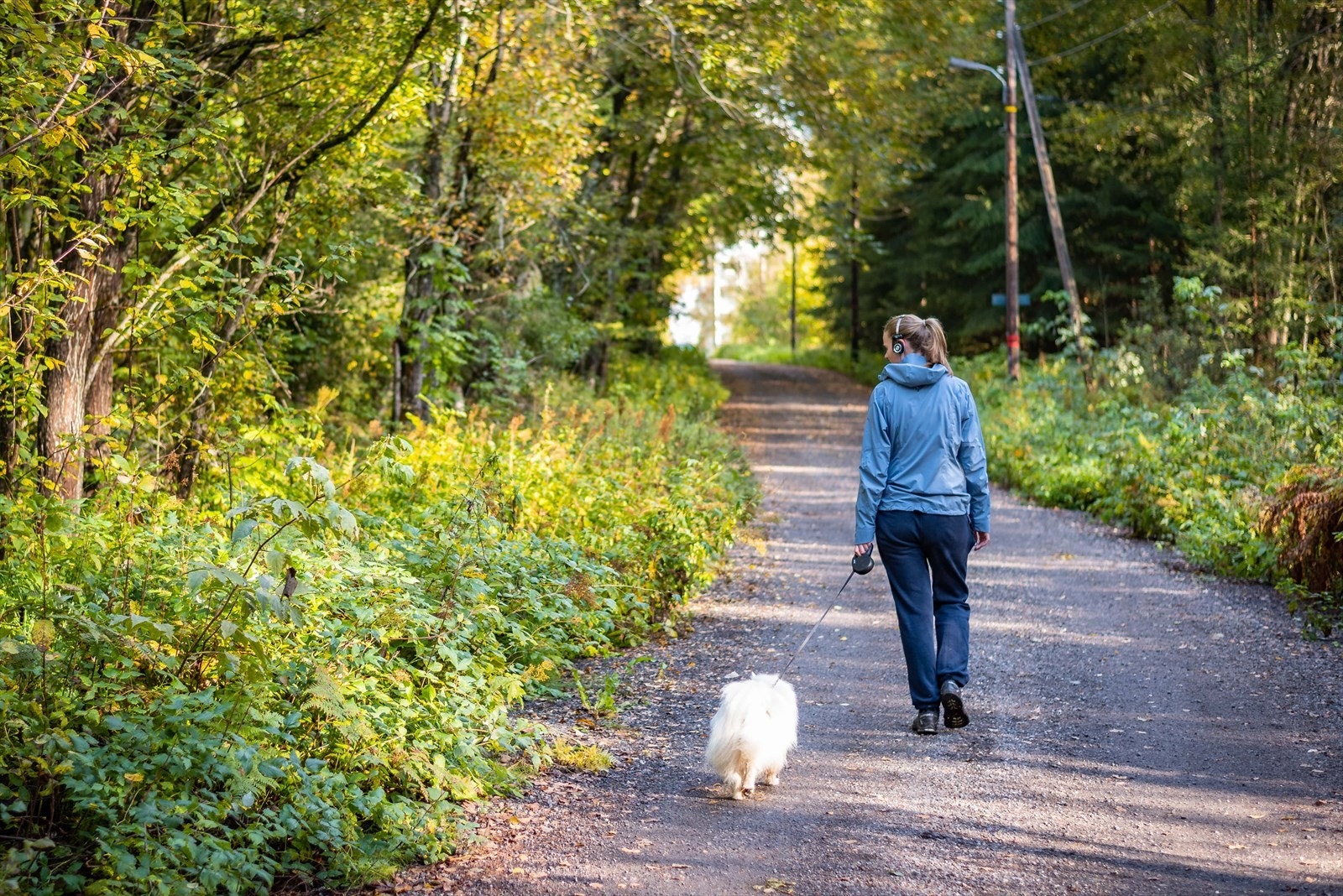 Naturen med hyggelige turområder ligger ikke langt fra boligene. Galleribilde