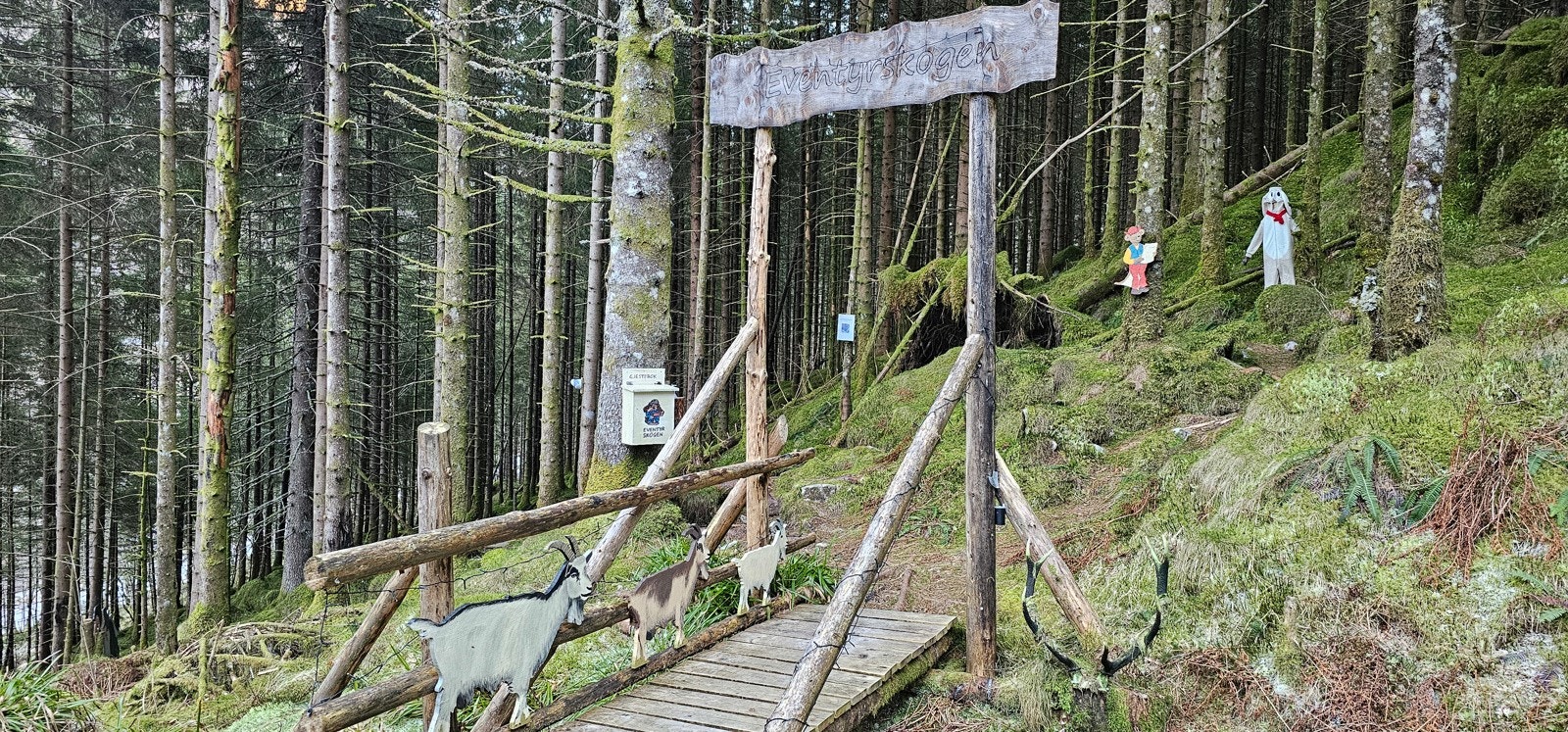 Eventyrskogen turområde Galleribilde