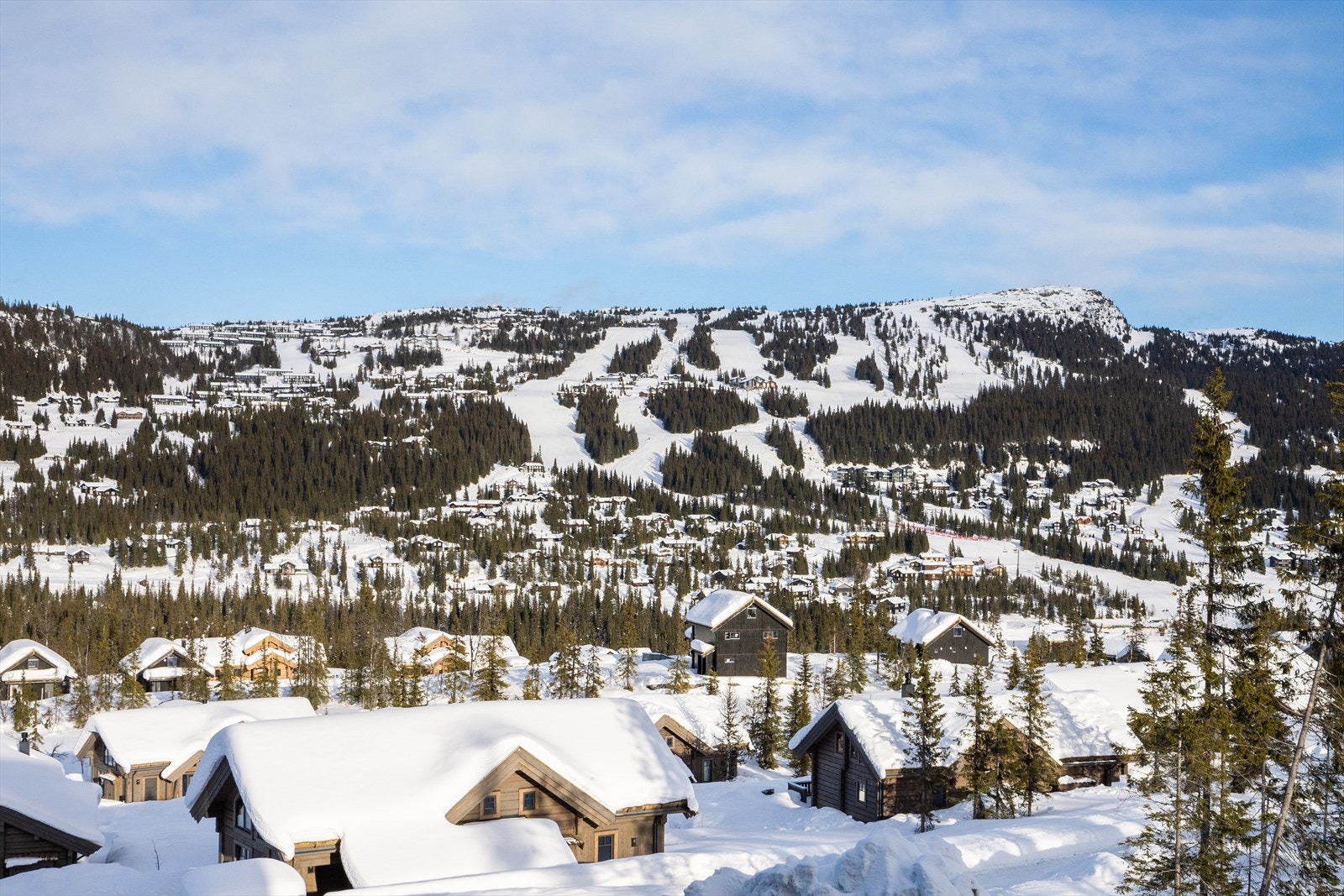 Vakker utsikt til noen av de mange bakkene som Kvitfjell kan by på. Galleribilde
