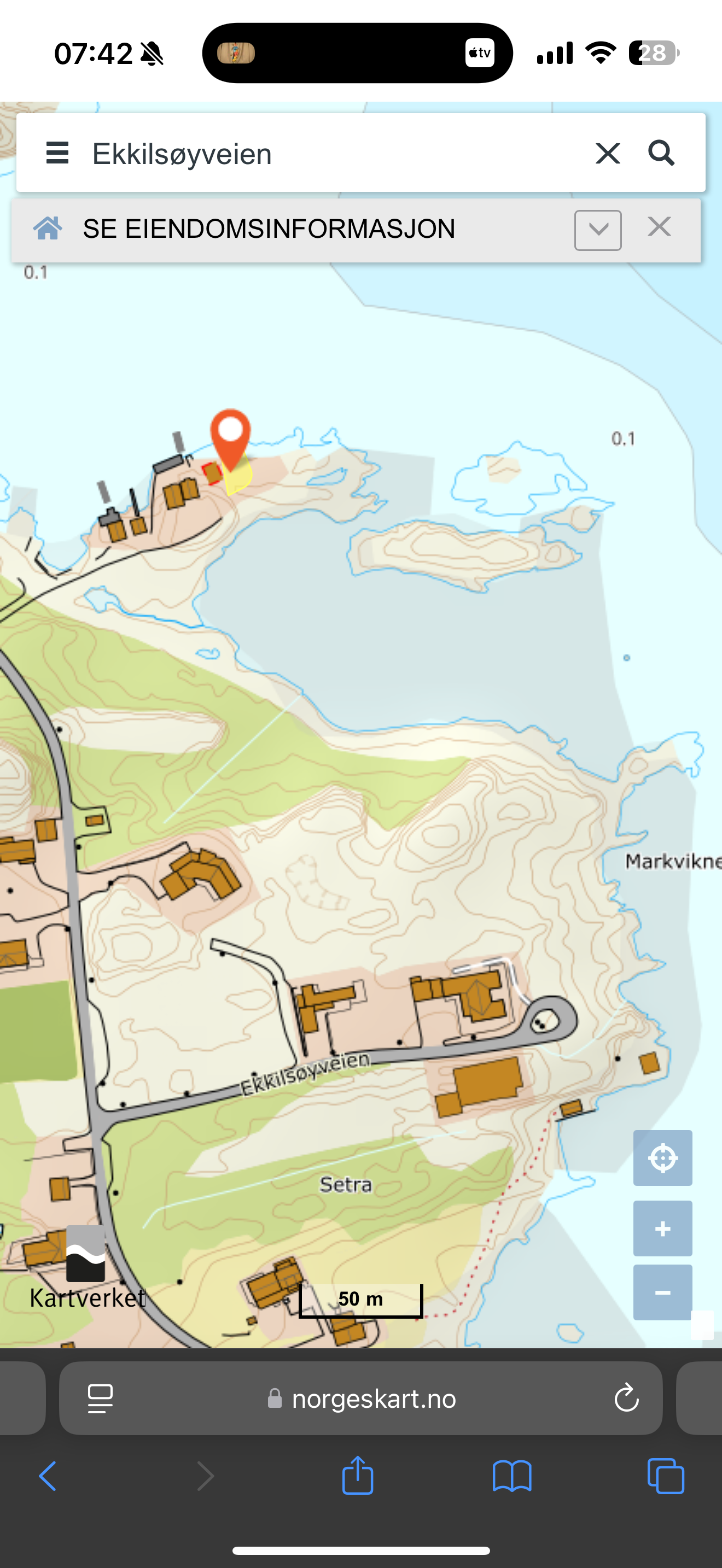 Kart utsnitt naust Galleribilde