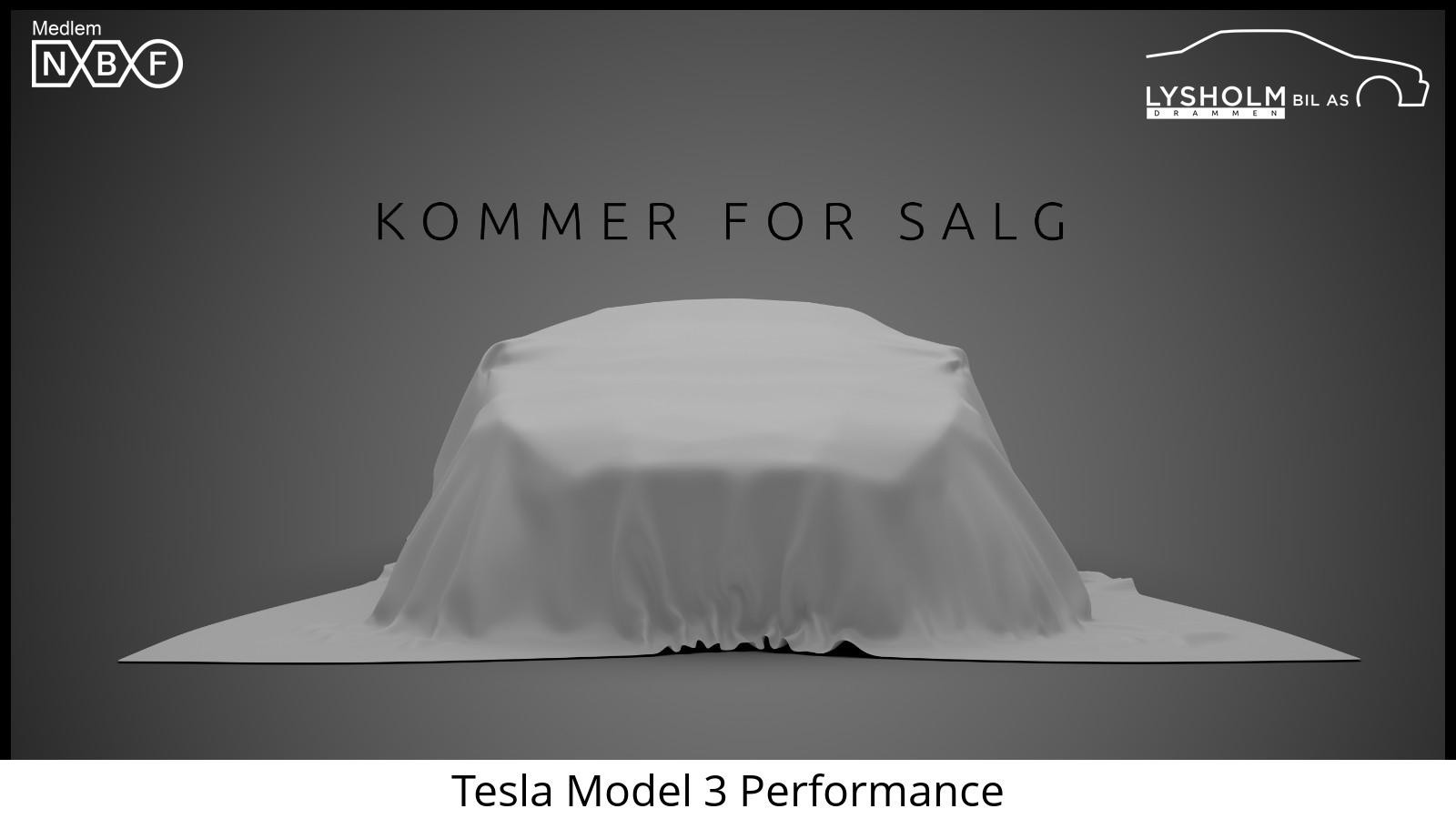 Tesla Model 3 Performance/ Skinn/ Premium lyd/ S+V/ Autopilot++