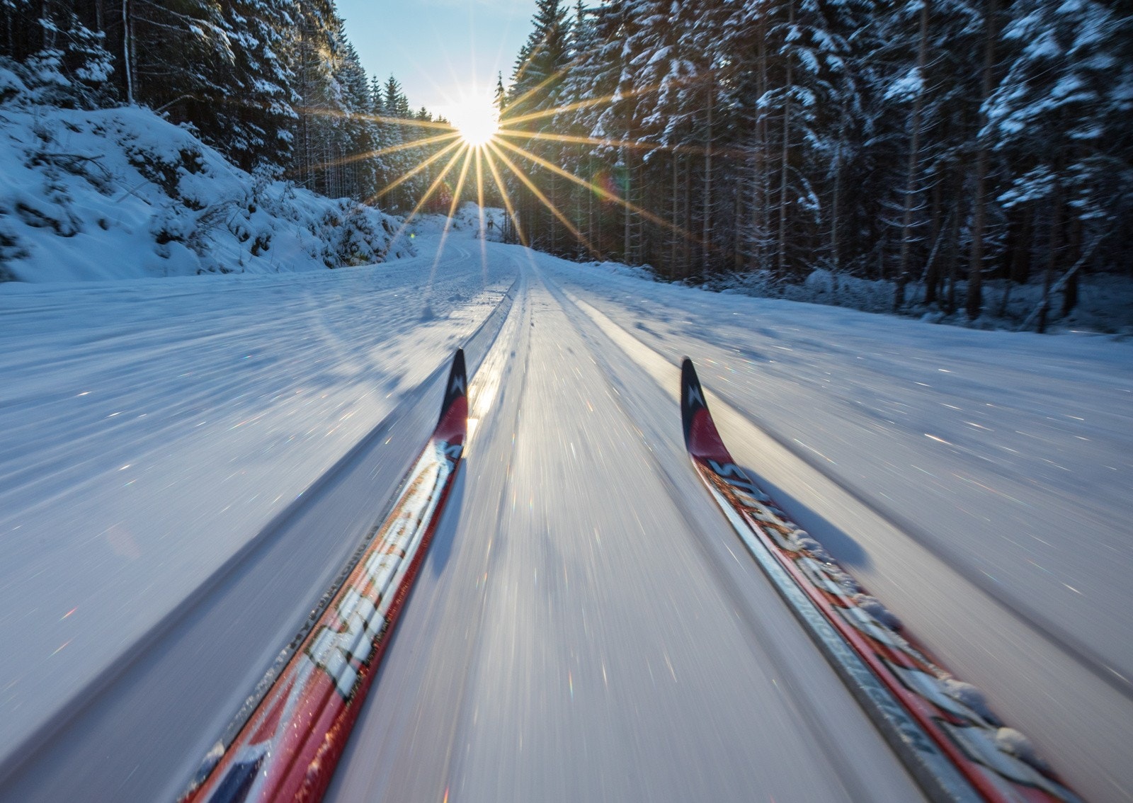 Flotte turområder i Østmarka hele året. Galleribilde