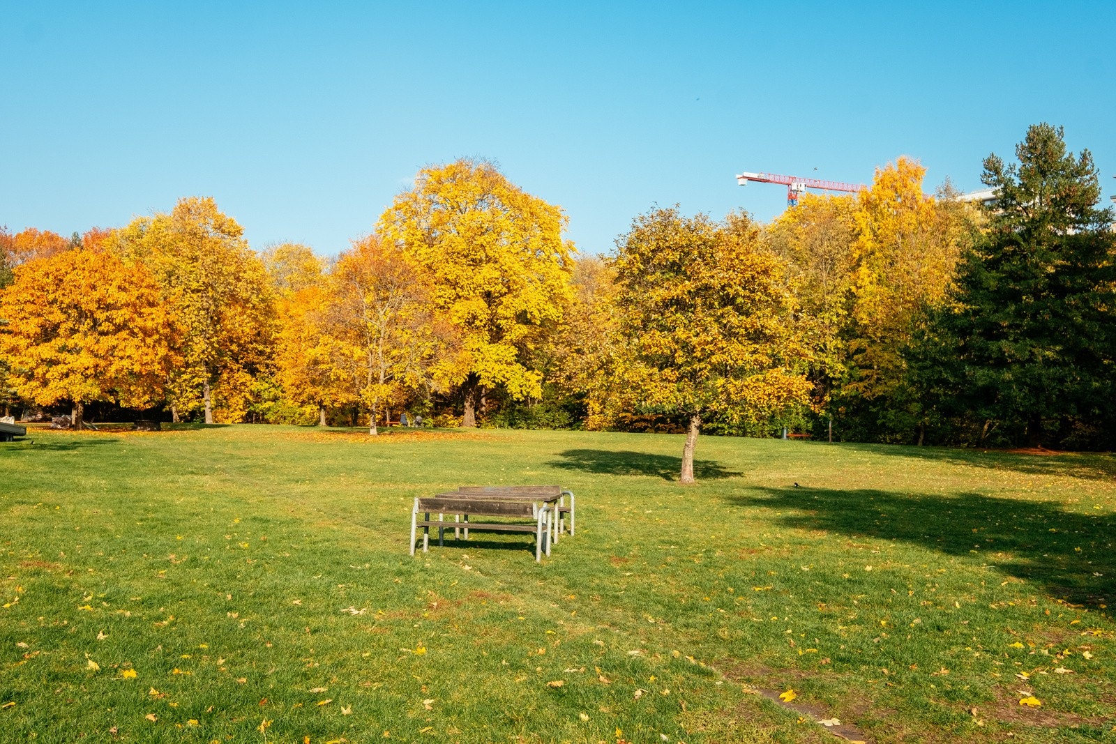 Det er flere grøntområder i umiddelbar nærhet. Galleribilde