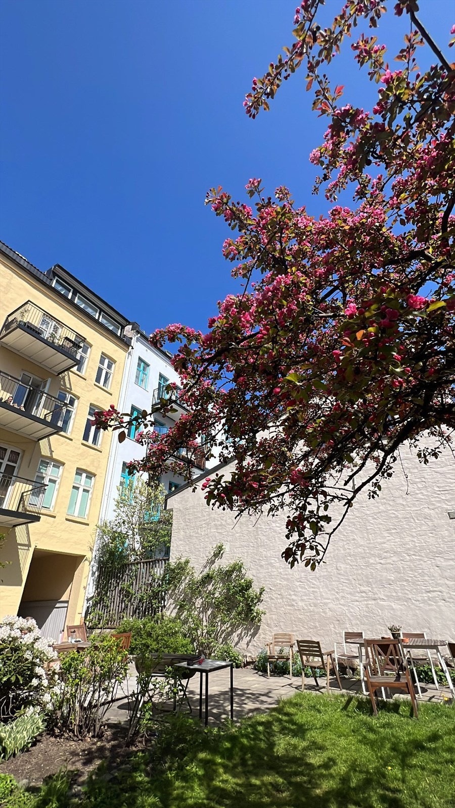 Bakgården blomstrer vakkert om våren. (Selgers private bilde.) Galleribilde