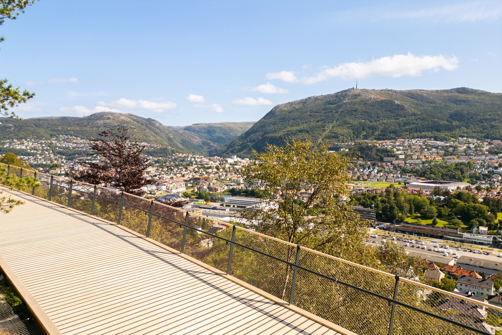 Løvstien Galleribilde