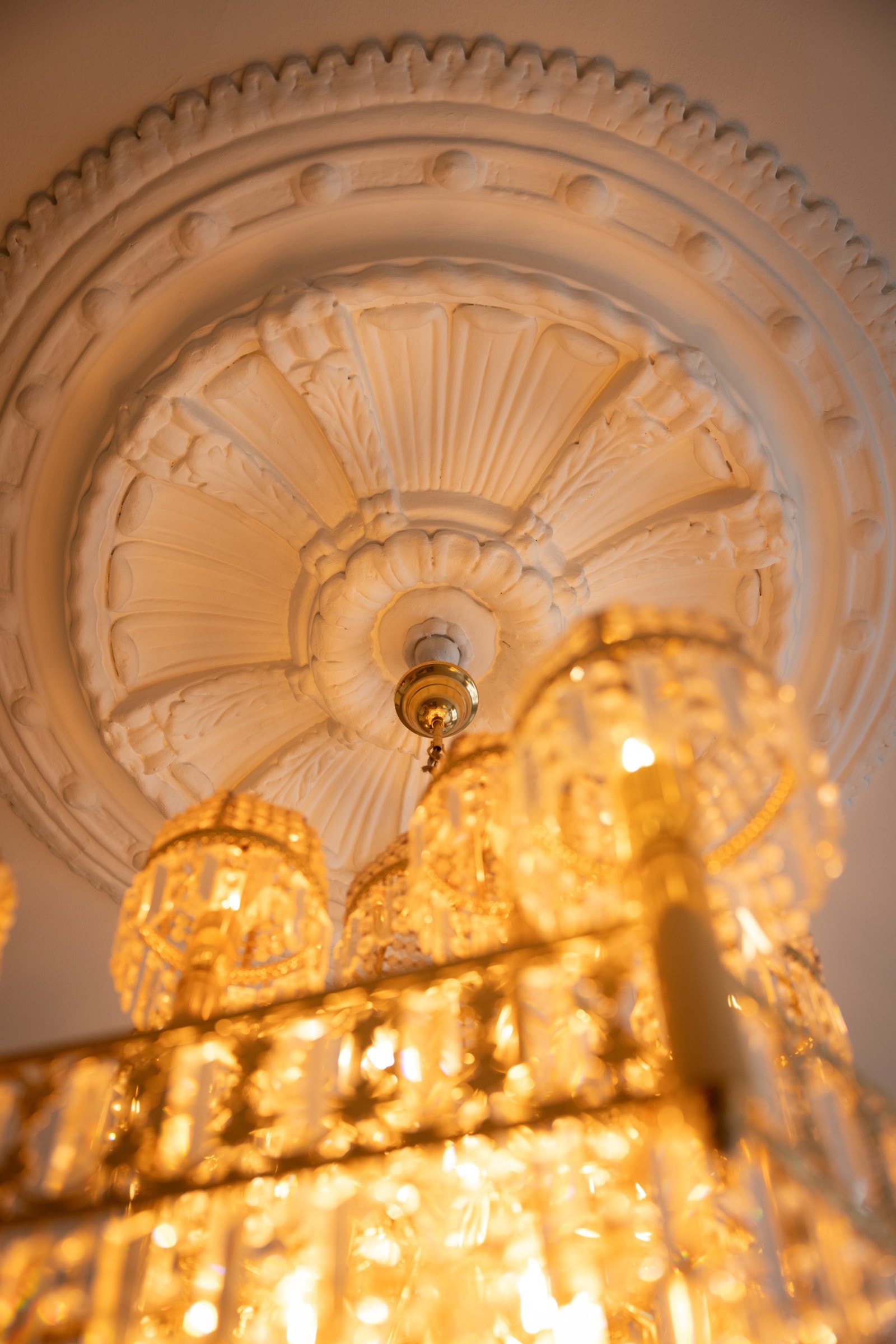 Flott rosett. Galleribilde