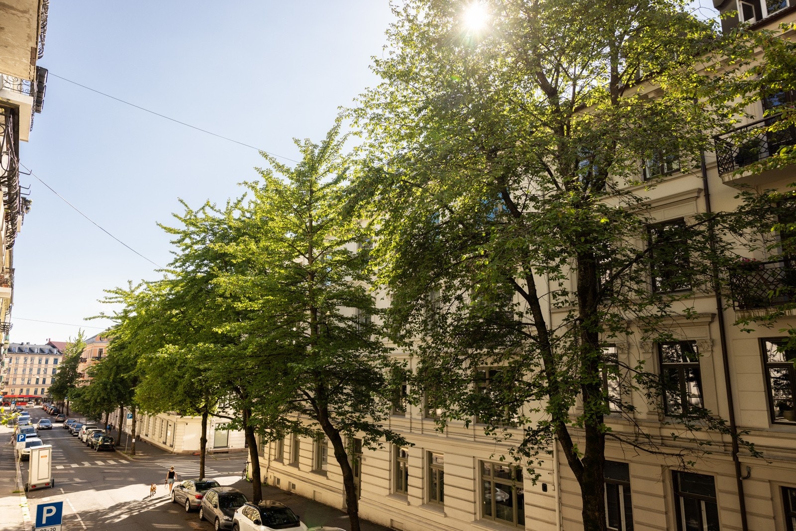 Utsikt. Galleribilde