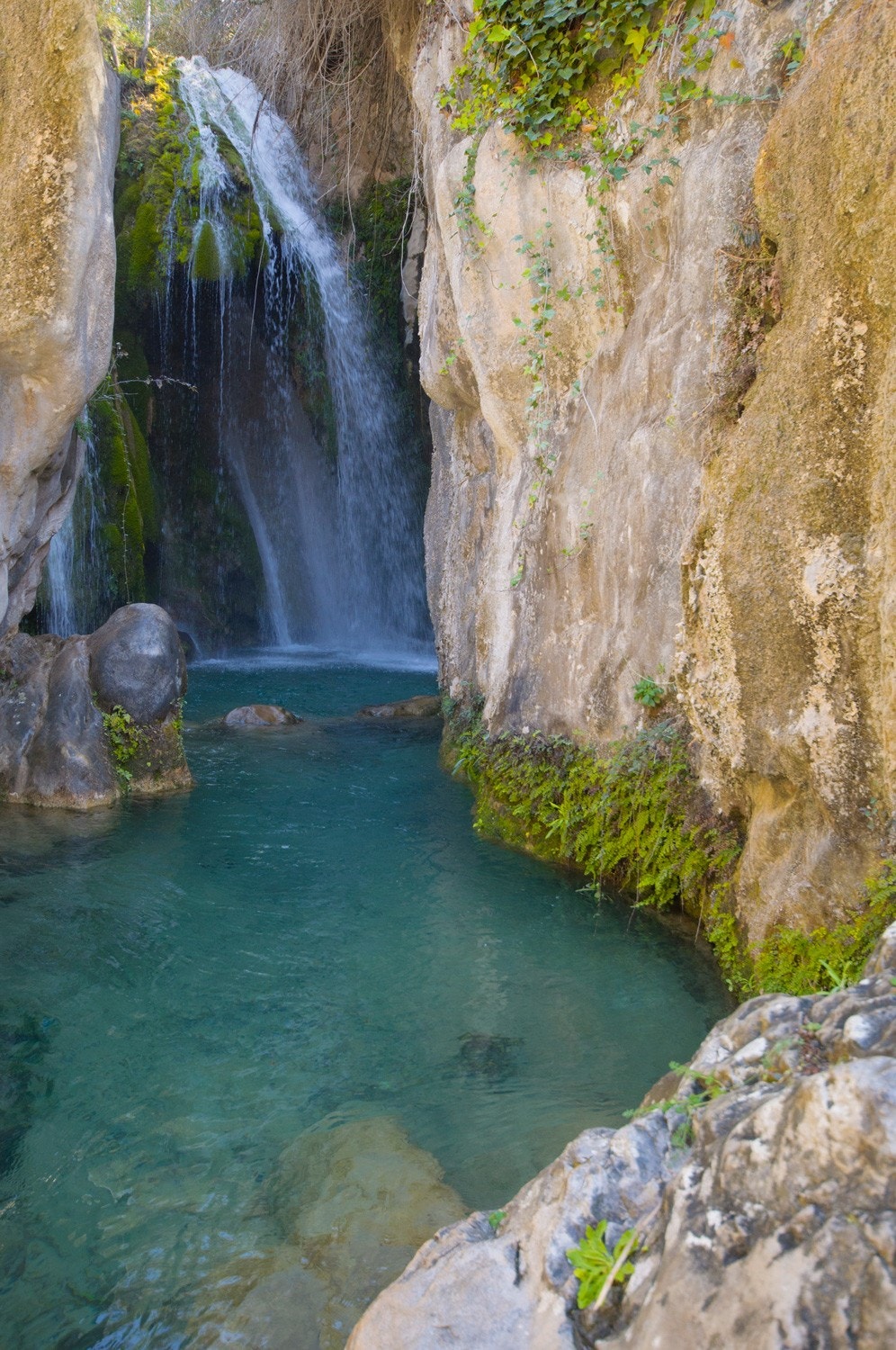 Las Fuentes de Algar Galleribilde