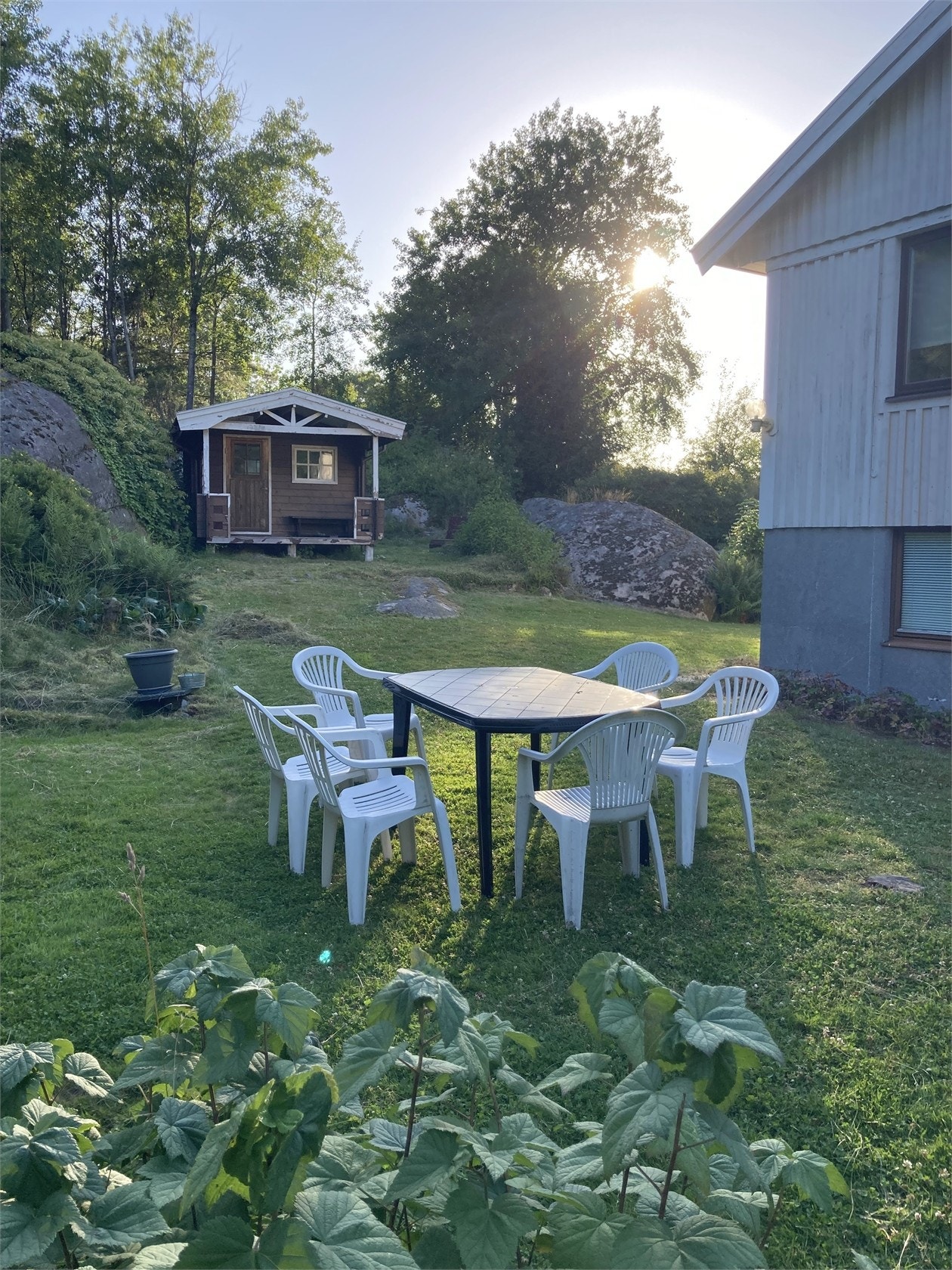 Säljarens sommarbild! Galleribilde