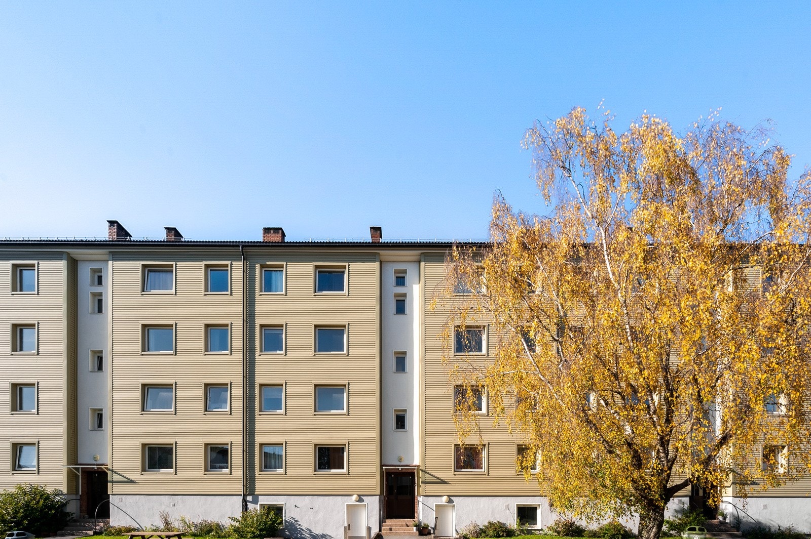 Fasade. Galleribilde