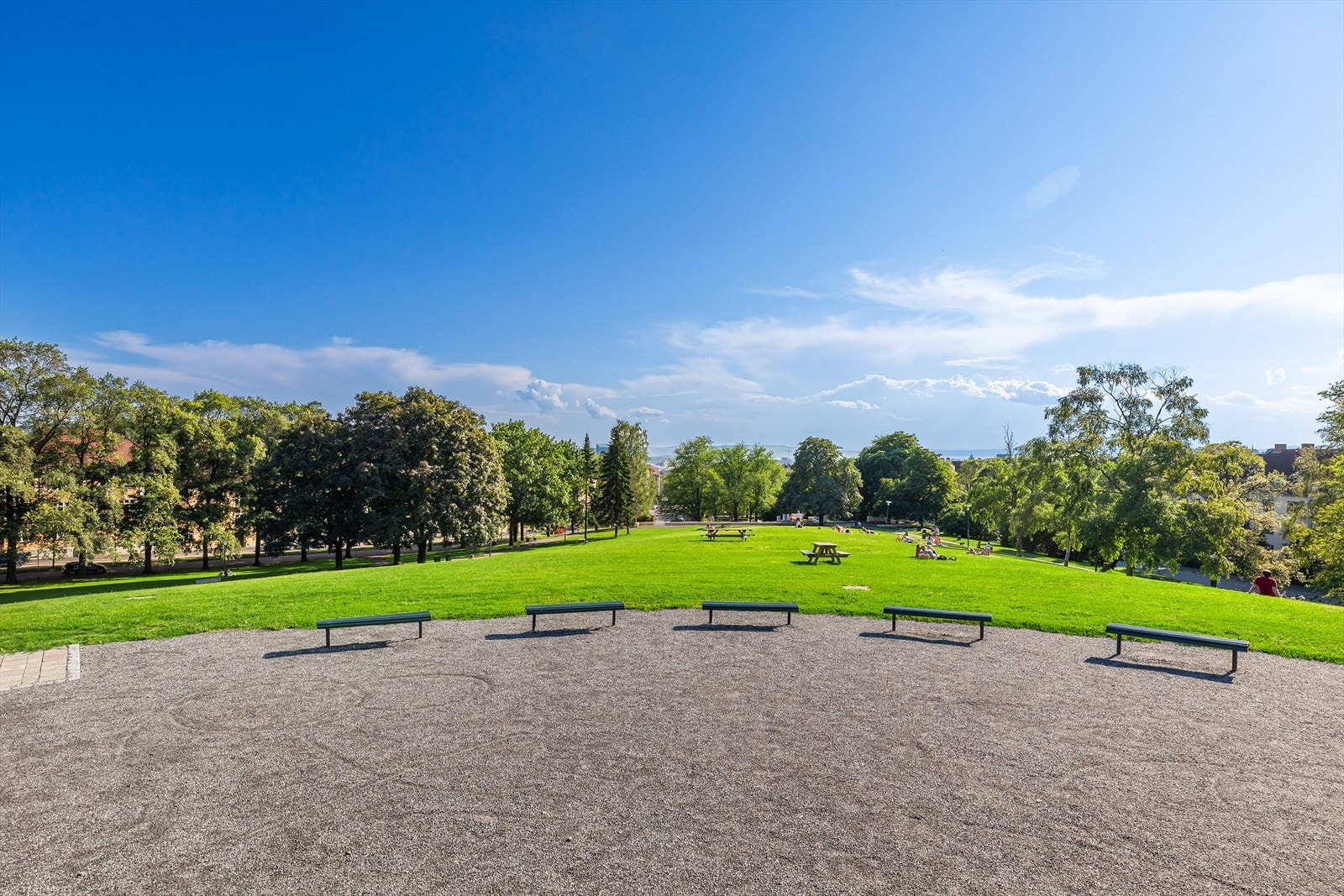 Nærområdet. Galleribilde