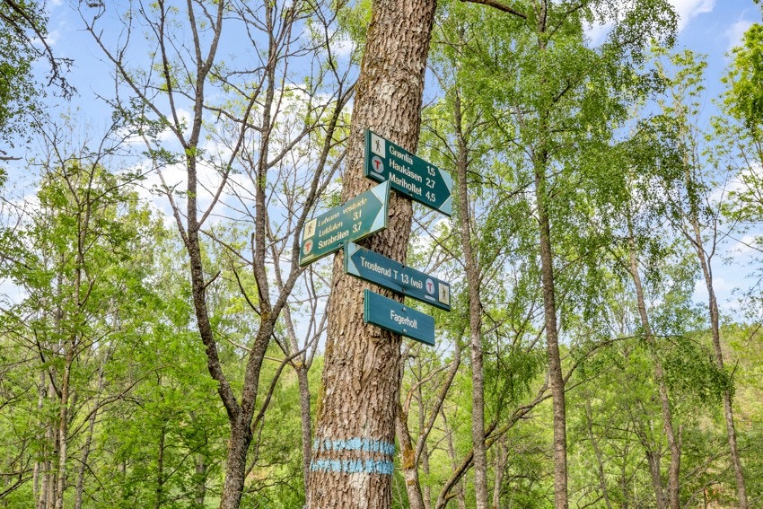 Østmarka tilbyr flotte turmuligheter Galleribilde