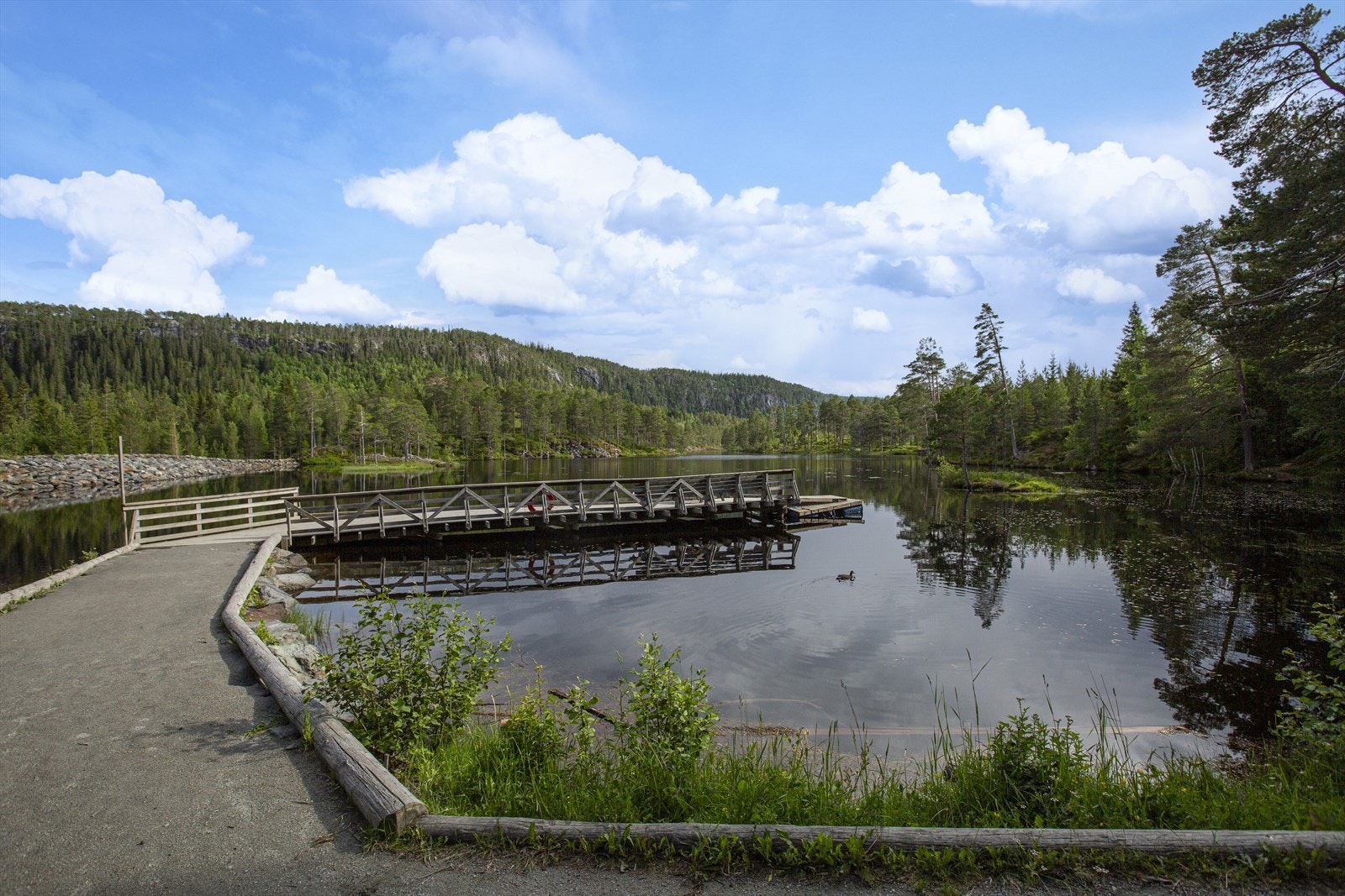 Stavsjøen er en idyllisk innsjø omgitt av frodige skoger, perfekt for gåturer, skiturer og friluftsliv. Stavsjøen ligger "bak" Abrahallen og er også kun kort veg fra boligen. Galleribilde