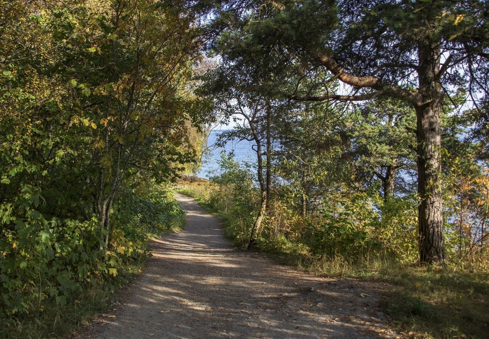 Like ved finner man idylliske Ladestien med flotte turstier langs hele Ladehalvøya og fantastisk utsikt mot Trondheimsfjorden. Her kan man stoppe for en herlig lunsj på Ladekaia eller Flipper på Grilstad Galleribilde