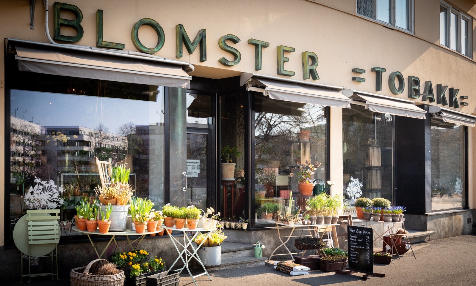 Nærområdet - Bislett blomster Galleribilde