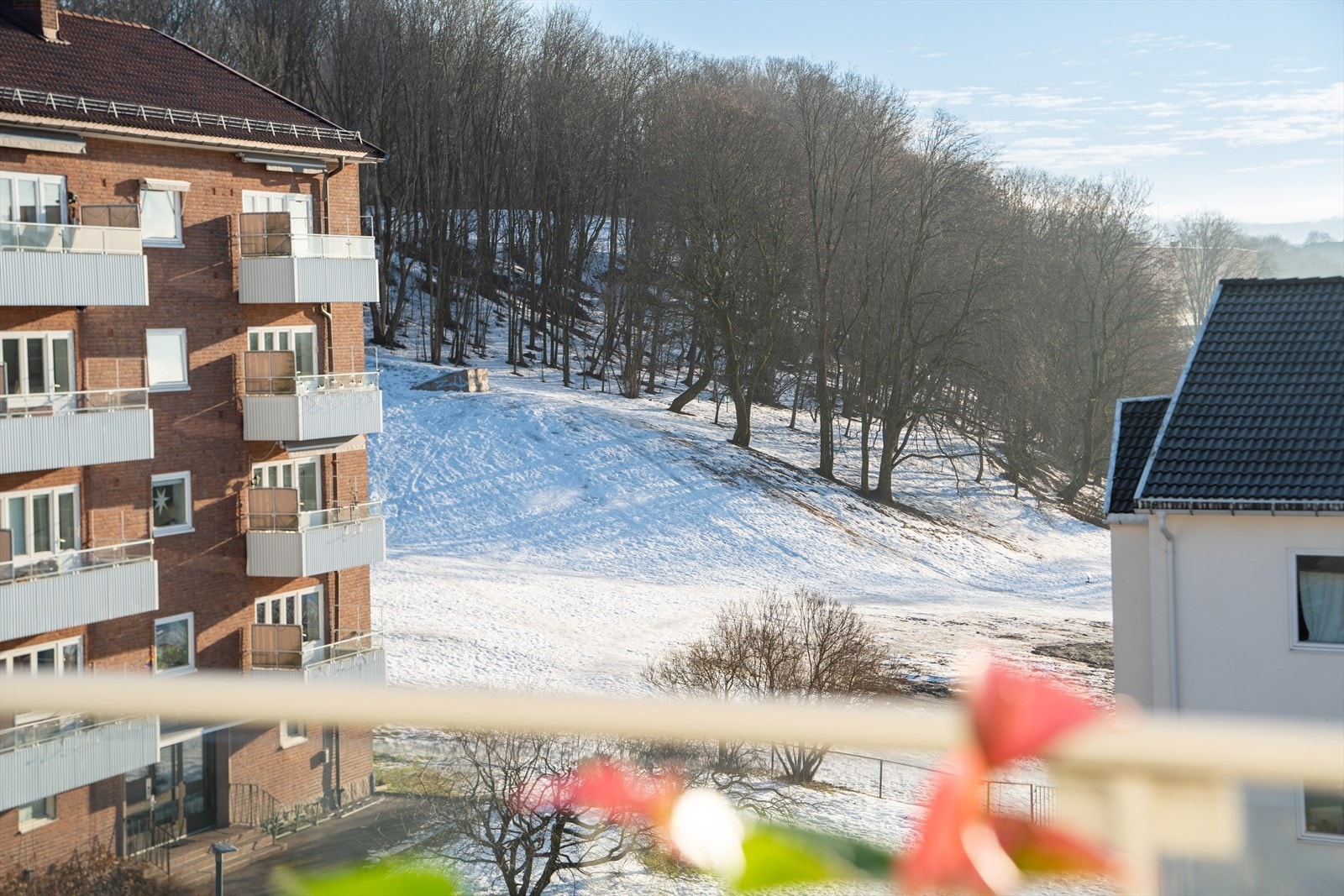 Balkongen har åpen, frodig og flott utsyn mot Ola Narr. Galleribilde