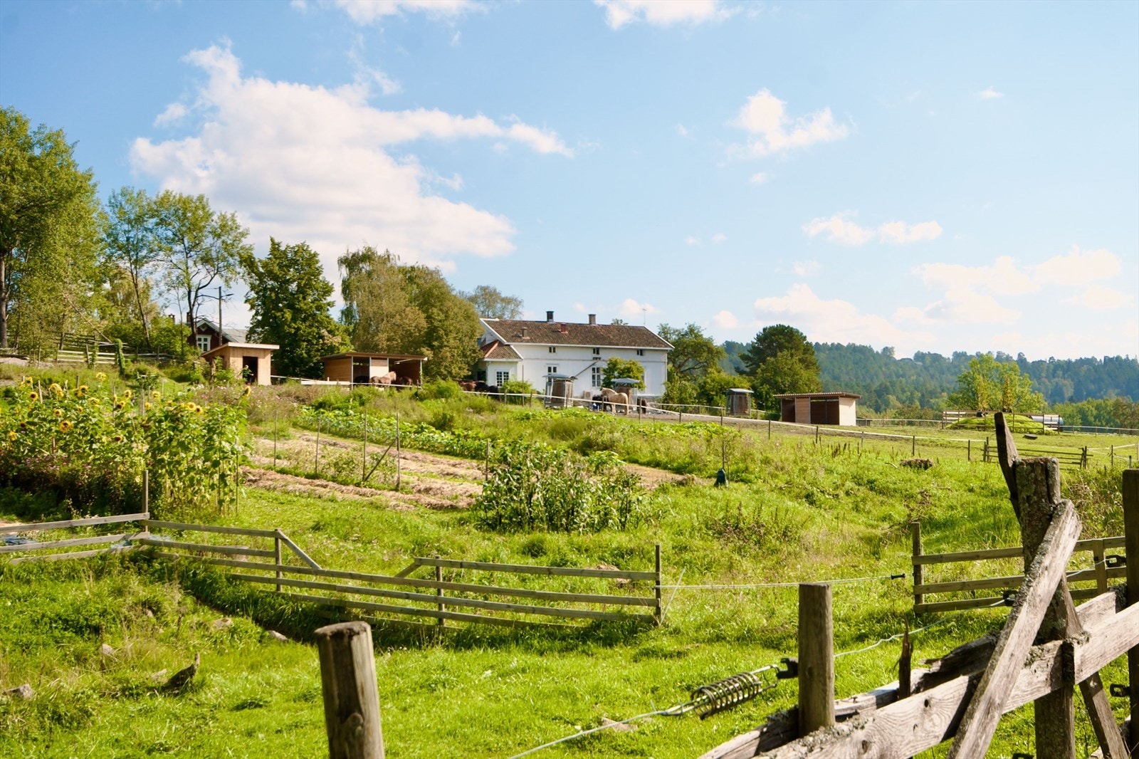 Området har i tillegg også egen besøksgård, Søndre Ås gård, med dyrehold, hesteridning, økologisk jordbruk og stabburscafe. Galleribilde