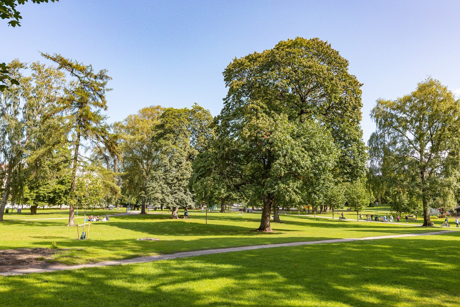 Nærområdet - Sofienbergparken. Galleribilde