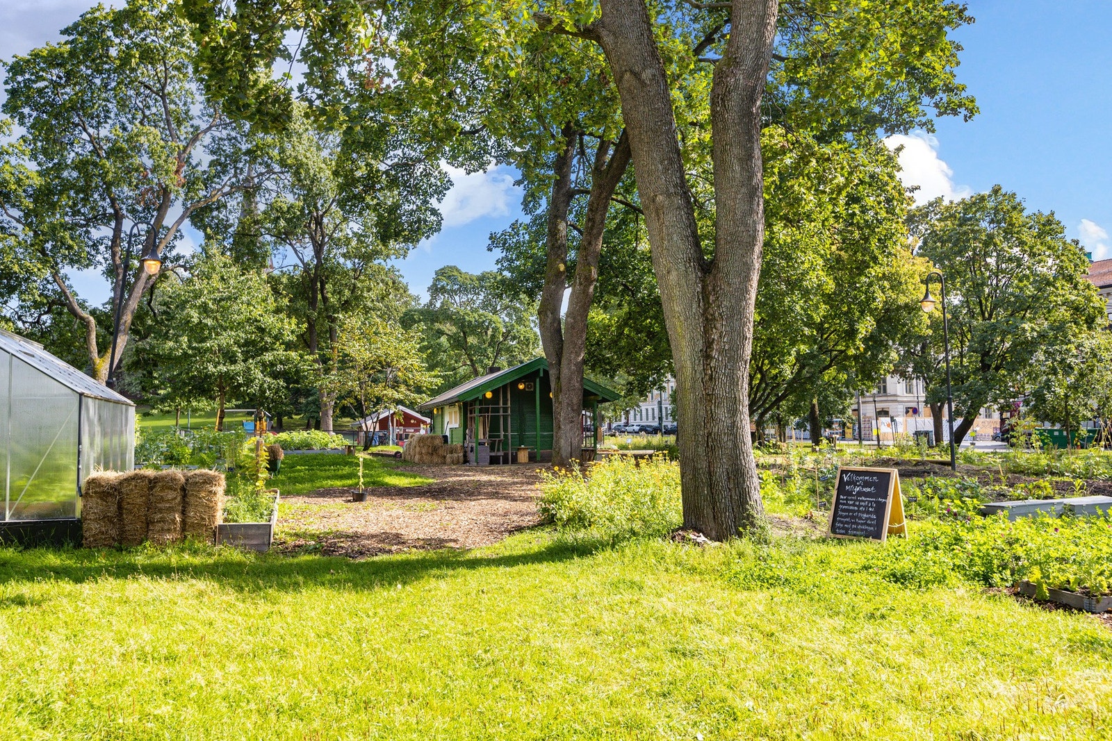 Nærområdet - Her bor du rett ved Botanisk hage! Galleribilde