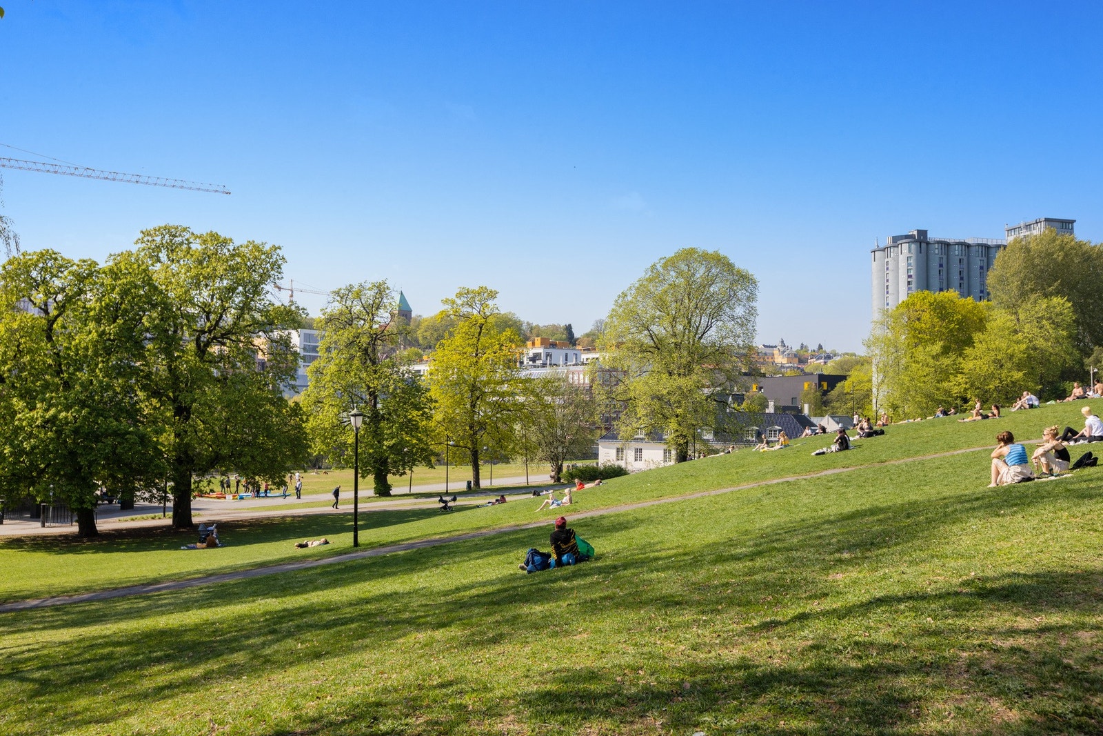 Nærområdet - Grünerløkka har mange fine parker og grøntområder. Galleribilde
