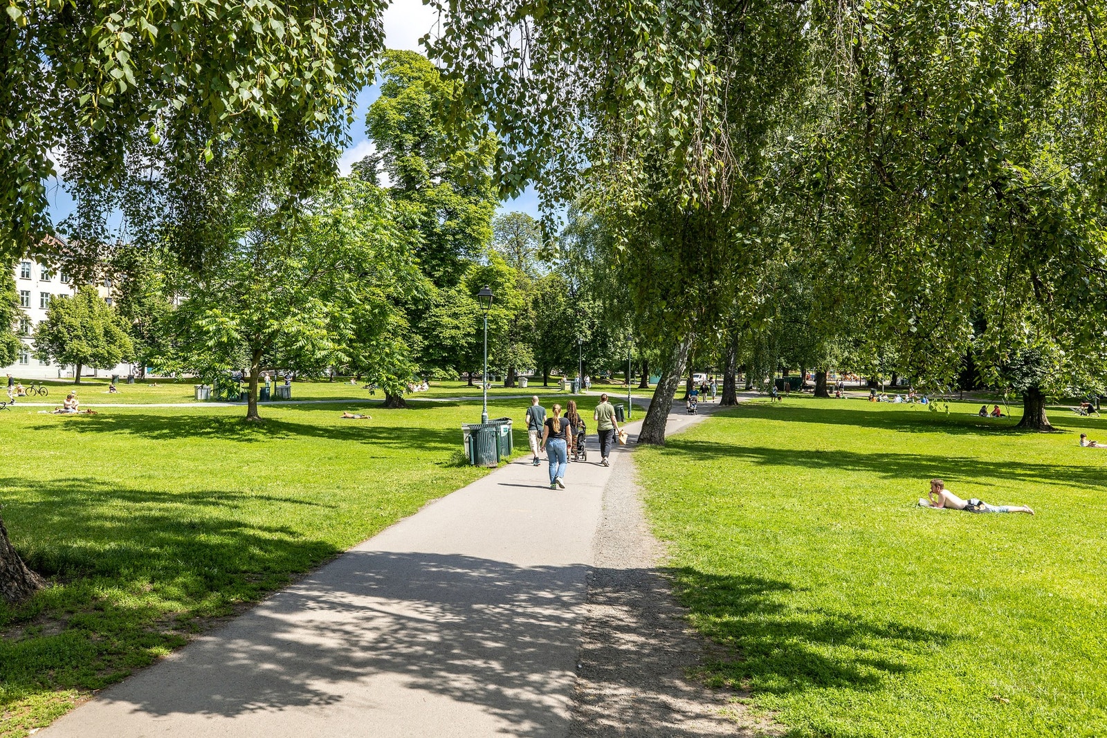 Nærområdet - Sofienbergparken. Galleribilde